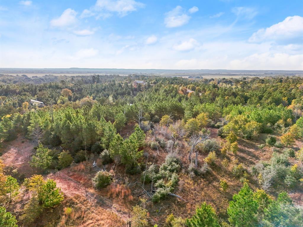 TBD Winfield Thicket Rd, Smithville, TX 78602