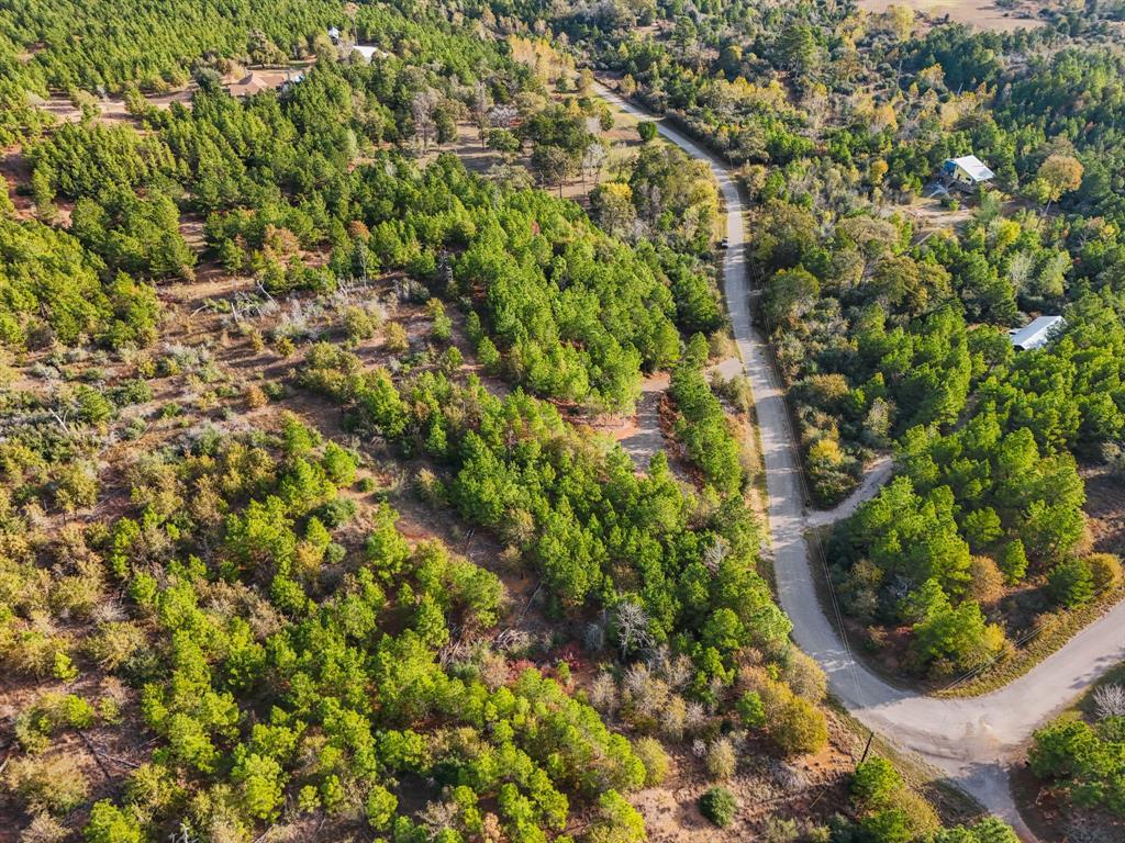 TBD Winfield Thicket Rd, Smithville, TX 78602