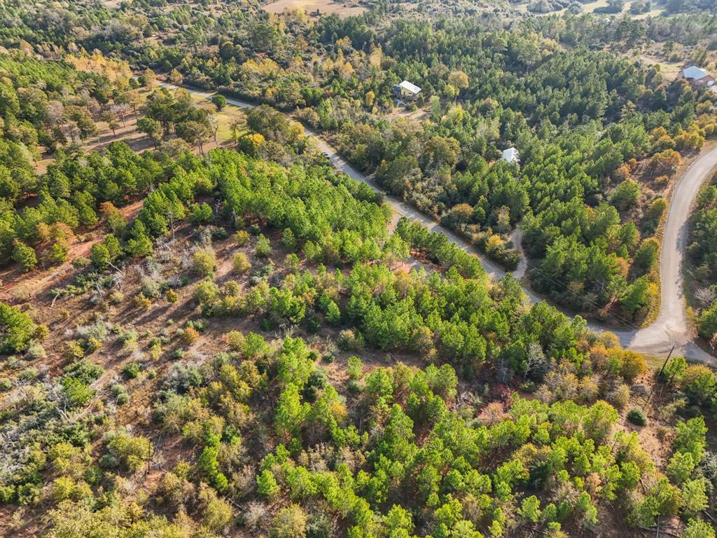 TBD Winfield Thicket Rd, Smithville, TX 78602