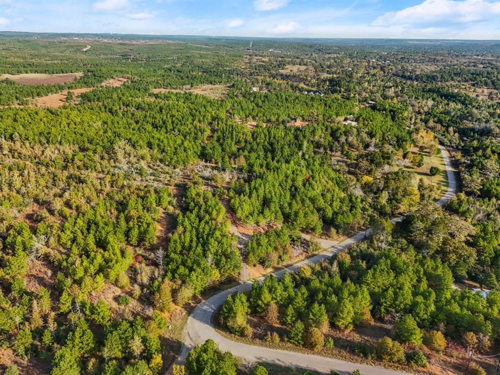 TBD Winfield Thicket Rd, Smithville, TX 78602