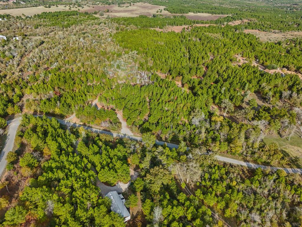 TBD Winfield Thicket Rd, Smithville, TX 78602