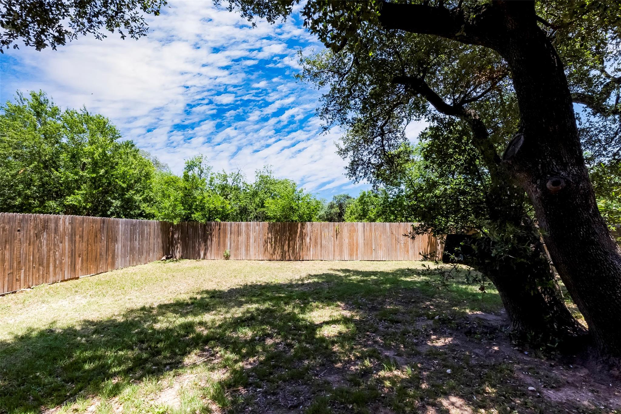 1710 Atlantica St, Cedar Park, TX 78613