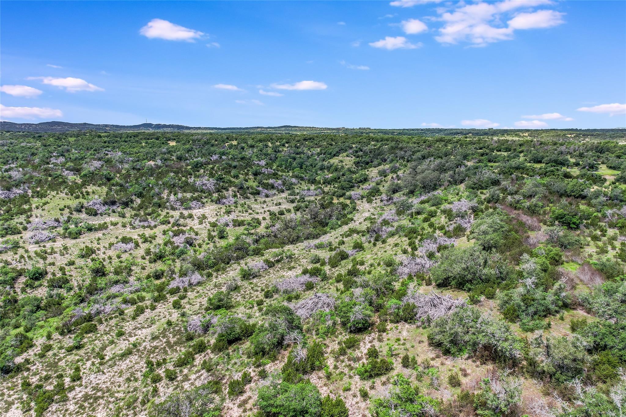 8 Newman Dr, Austin, TX 78738