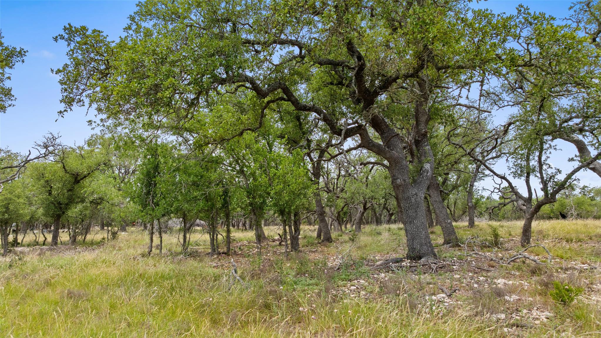 65 Miles Lane, Harper, TX 78631