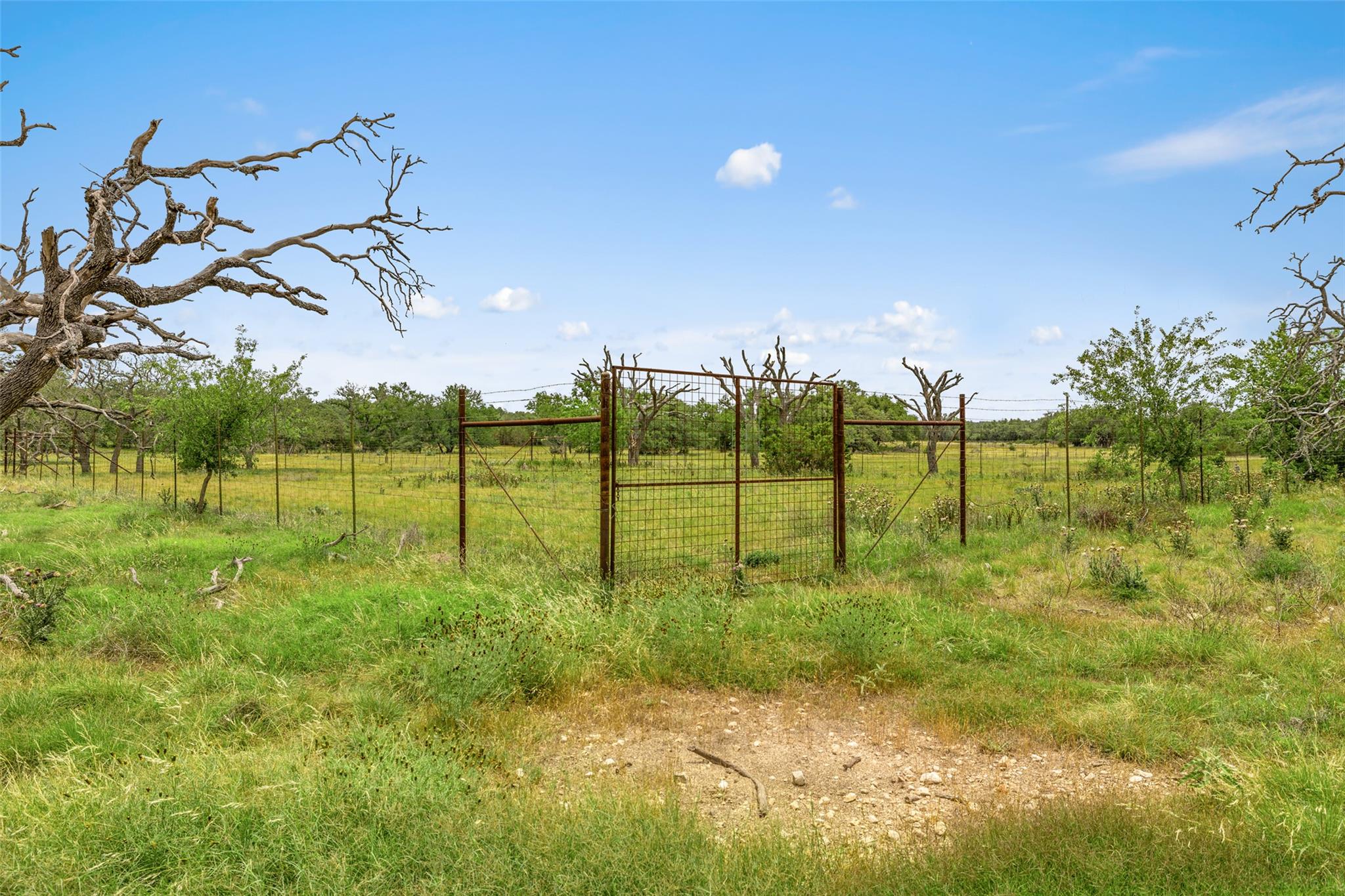 65 Miles Lane, Harper, TX 78631