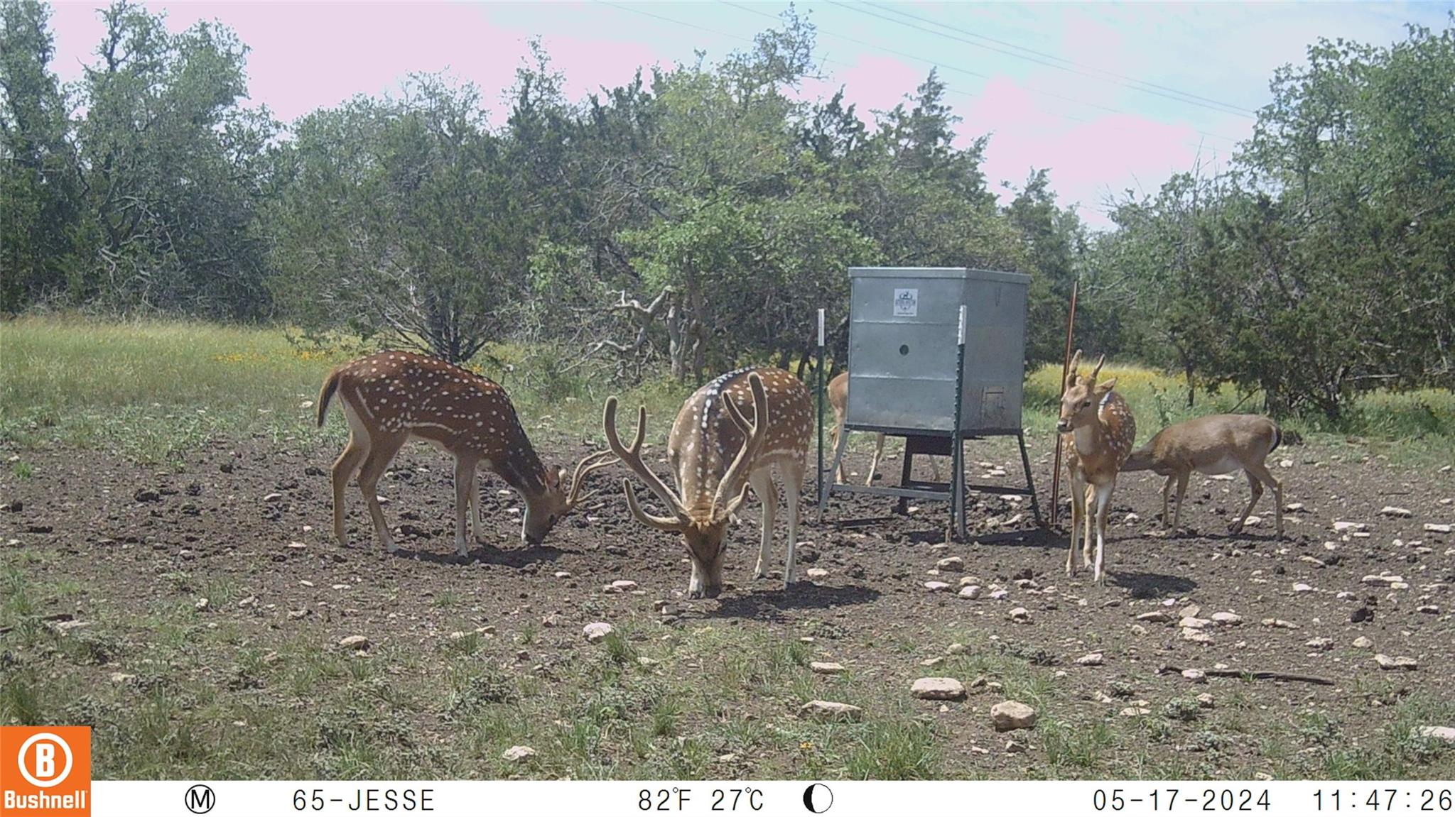 65 Miles Lane, Harper, TX 78631