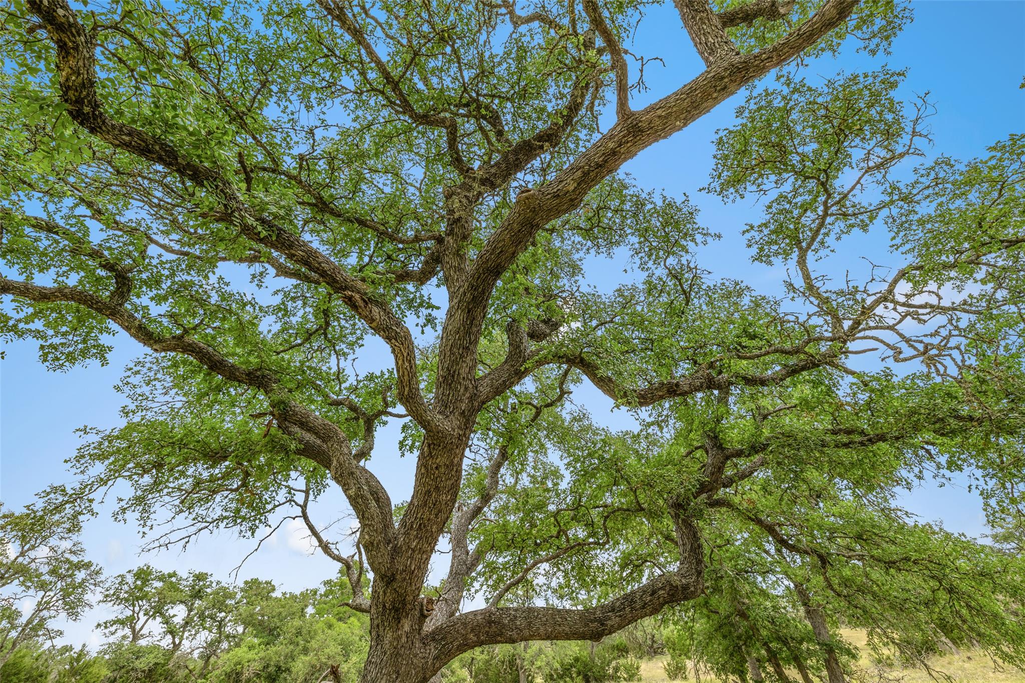 65 Miles Lane, Harper, TX 78631