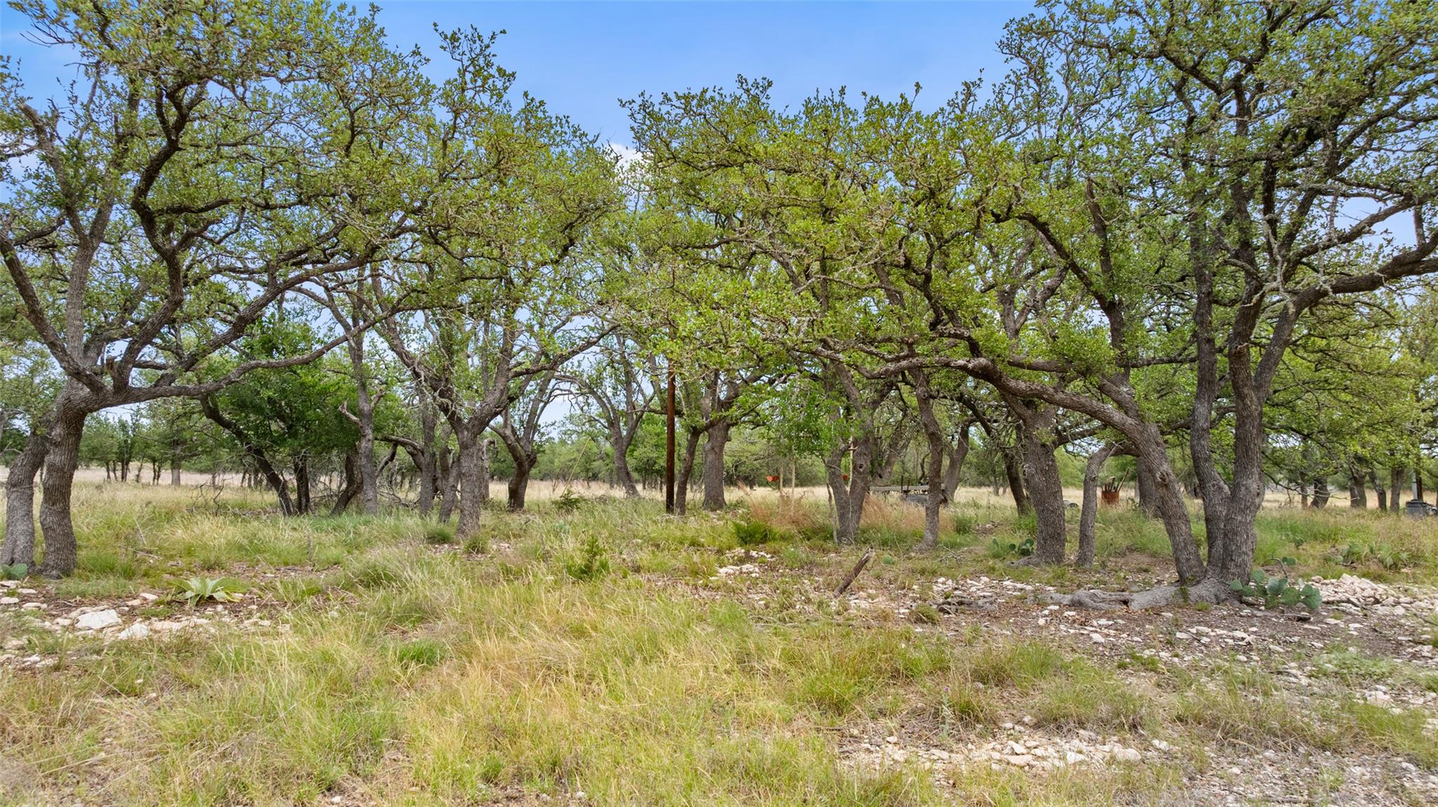 65 Miles Lane, Harper, TX 78631