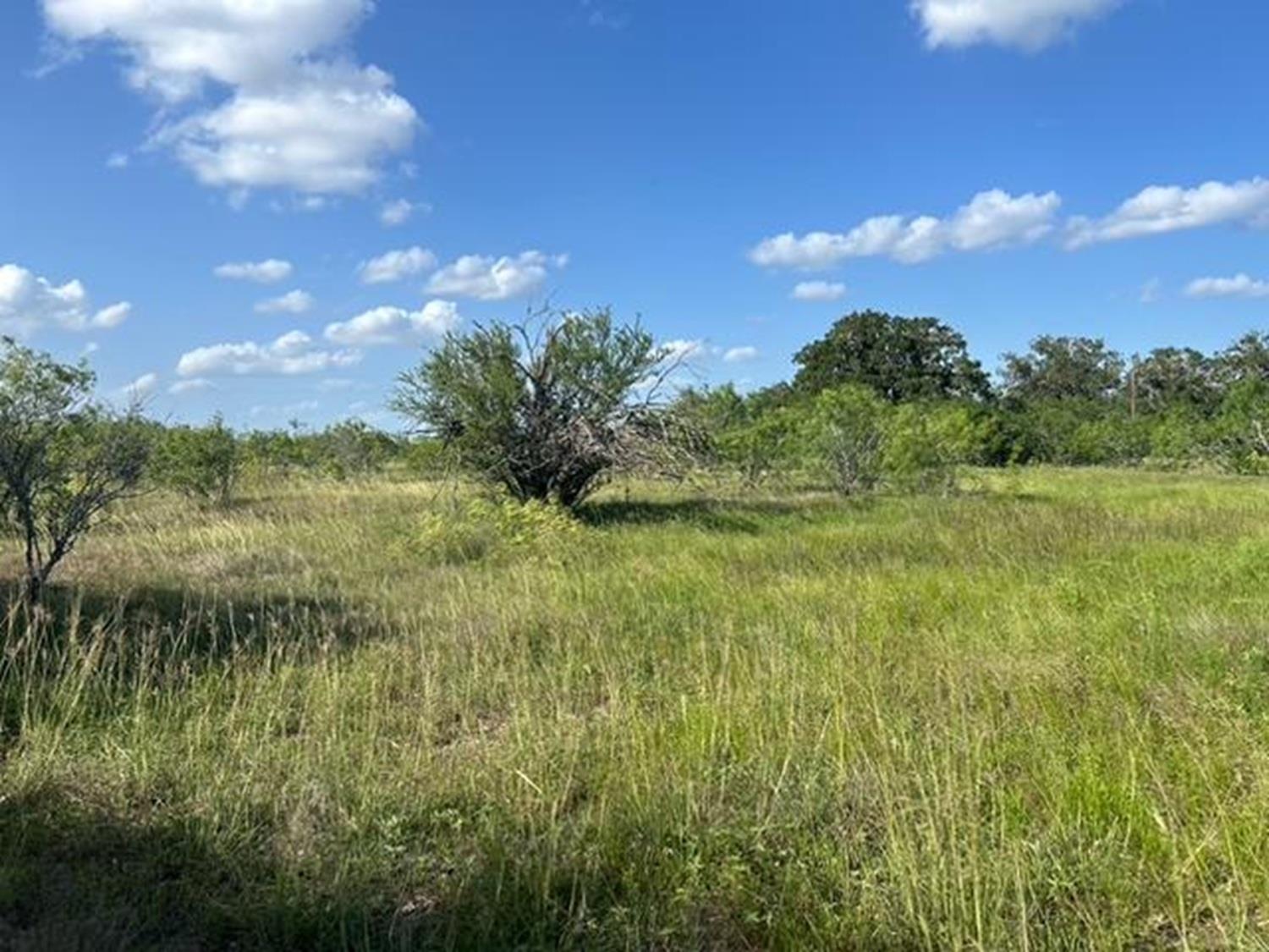 TBD Fm-2814, Waelder, TX 78959