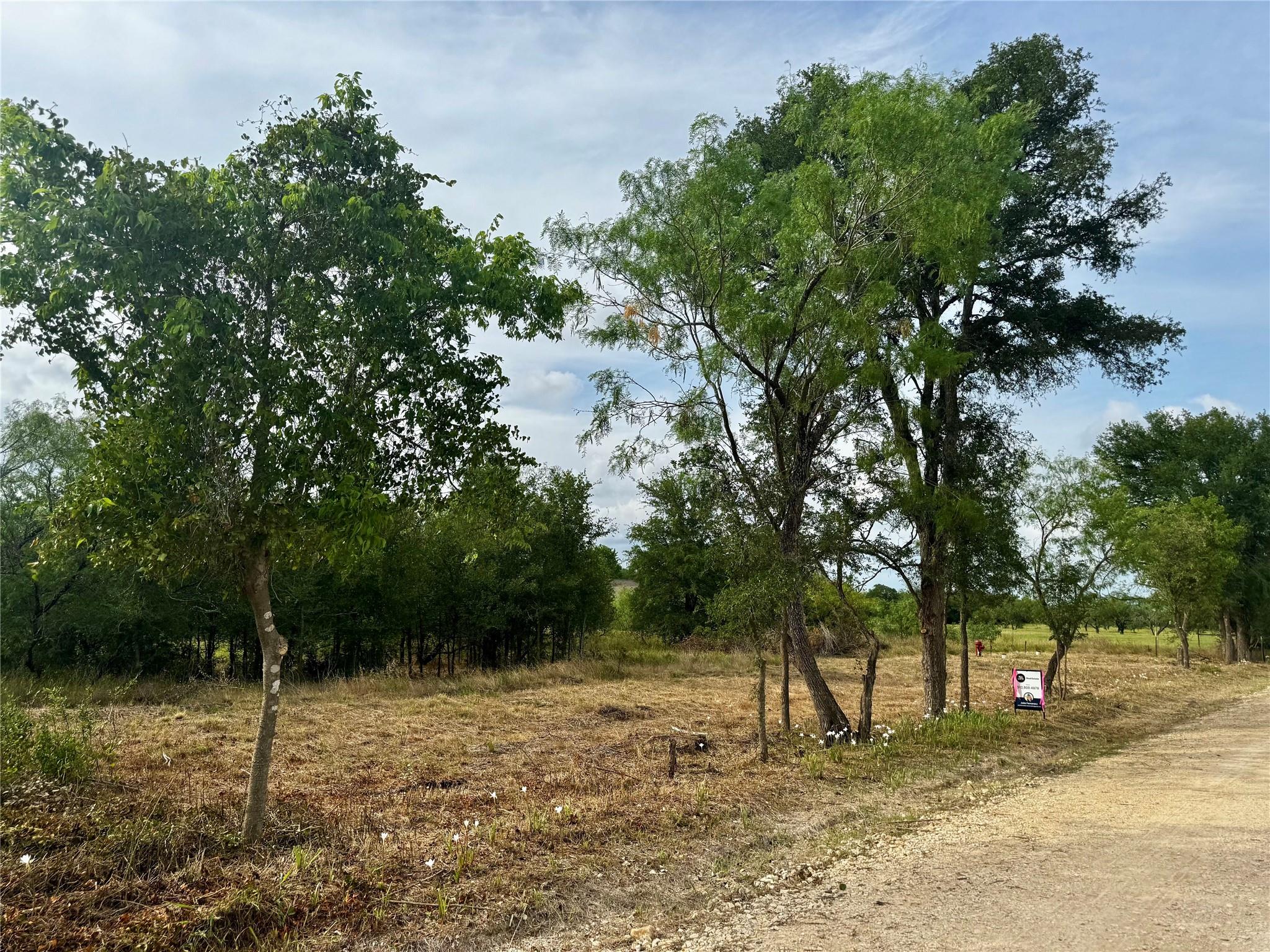 255 Crooked Rd, Dale, TX 78616