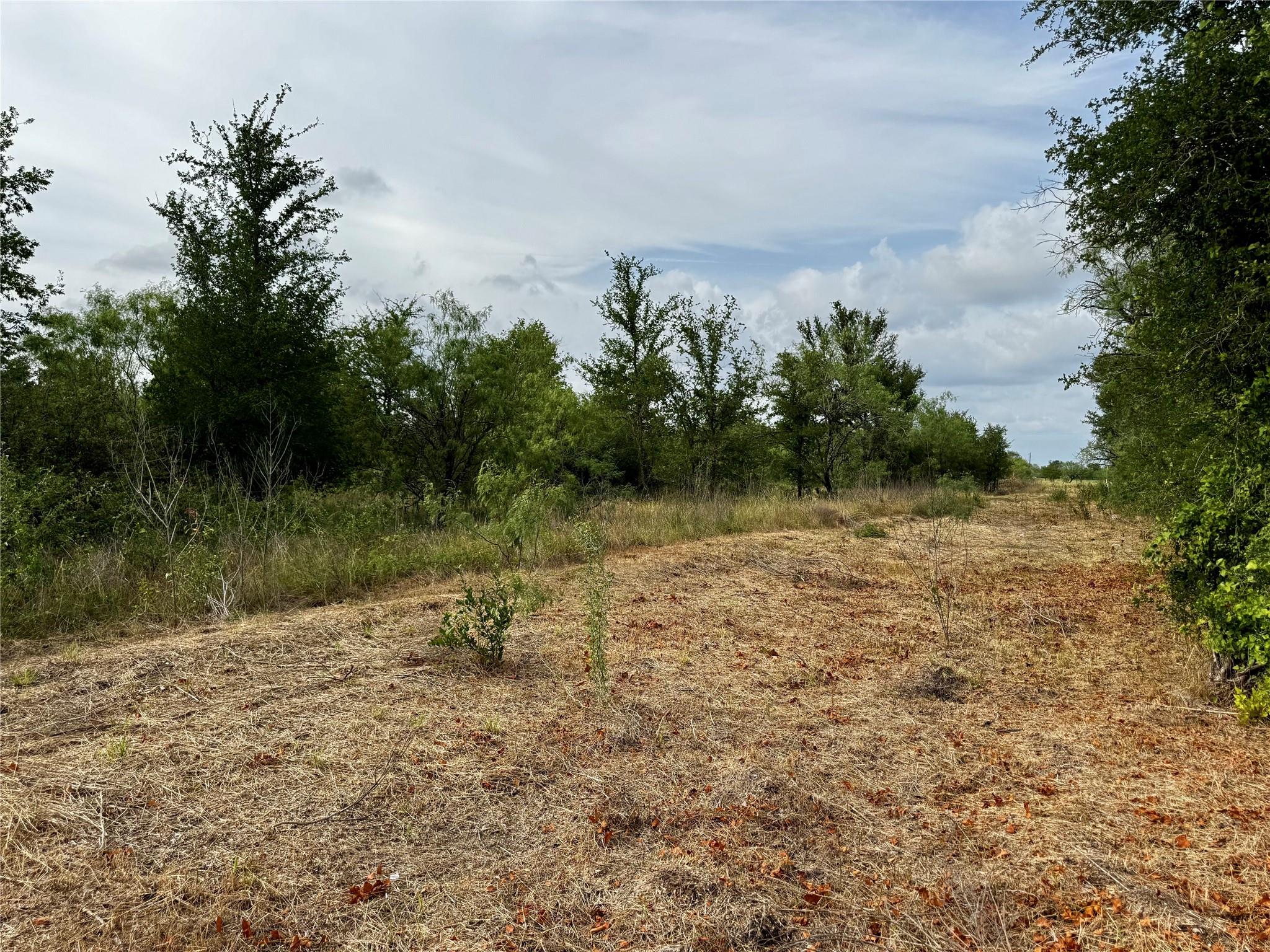 255 Crooked Rd, Dale, TX 78616