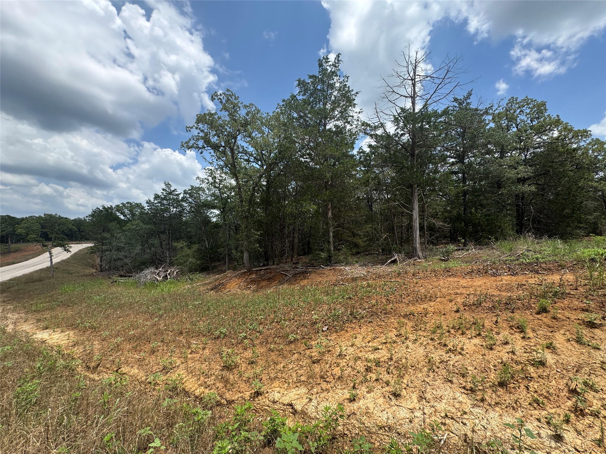 Lot 16 Hailey Ln, Dale, TX 78616