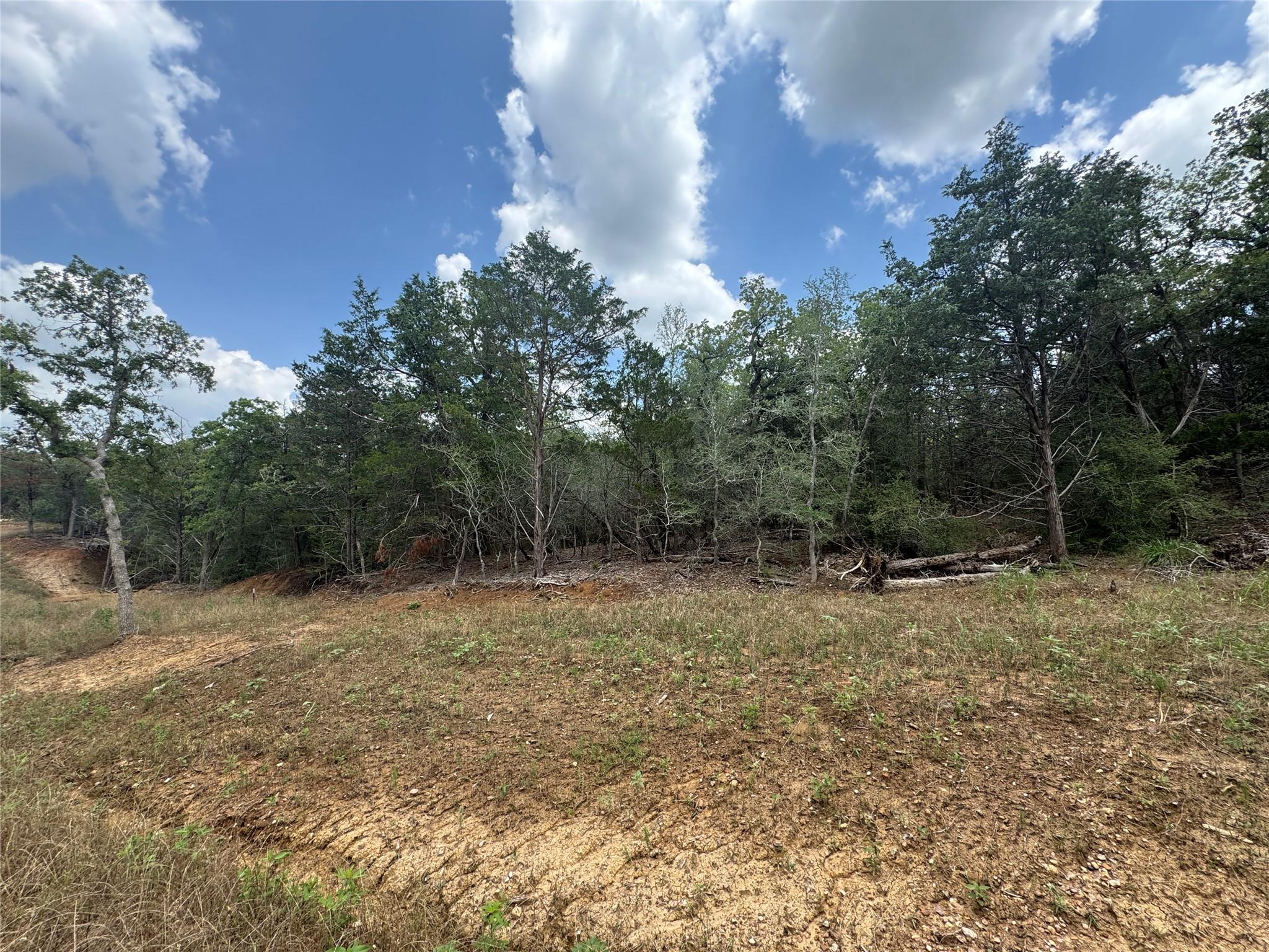 Lot 16 Hailey Ln, Dale, TX 78616