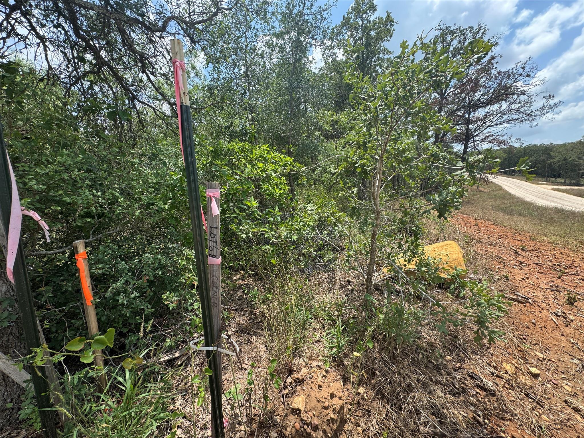 Lot 16 Hailey Ln, Dale, TX 78616