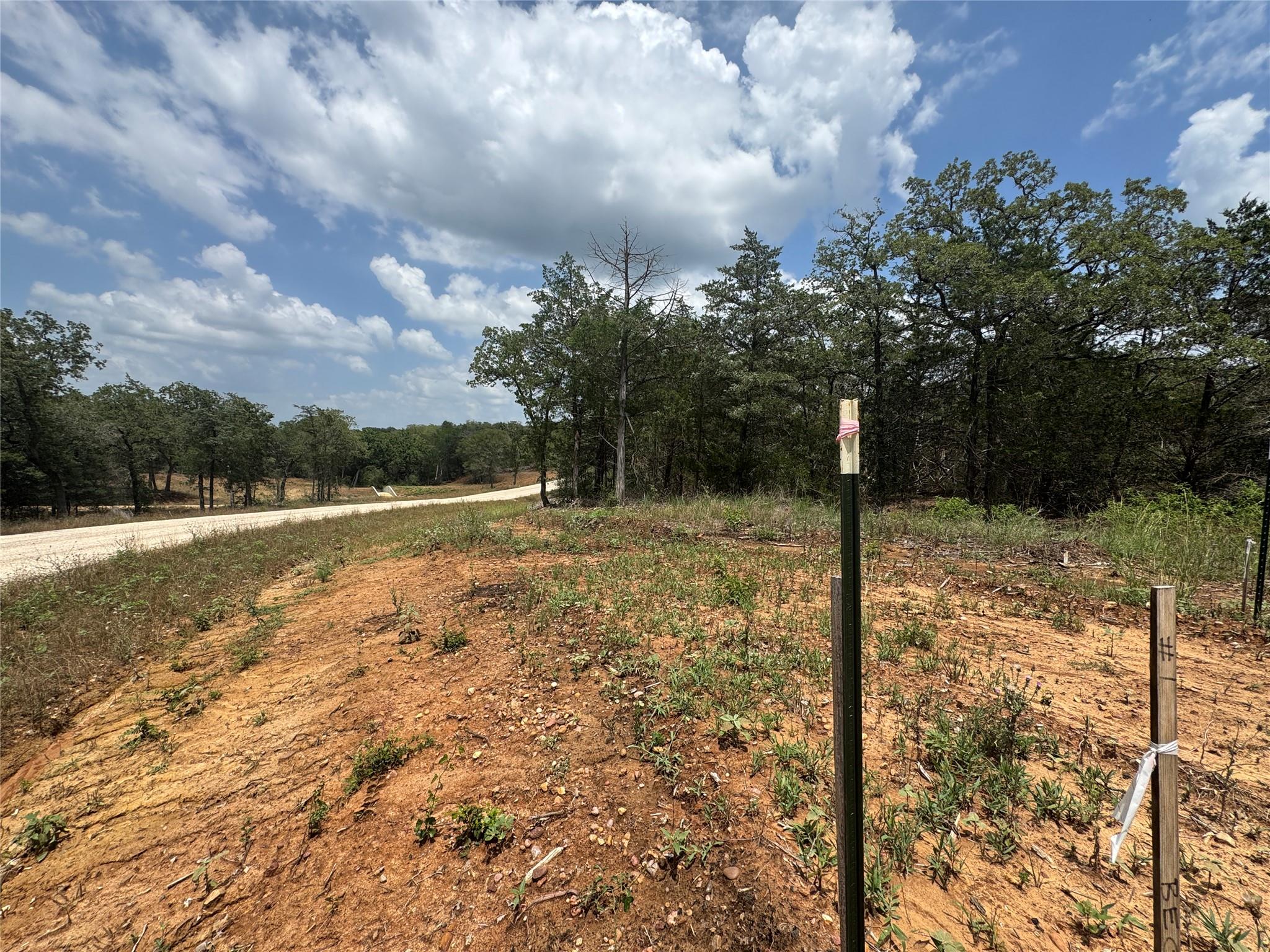 Lot 16 Hailey Ln, Dale, TX 78616