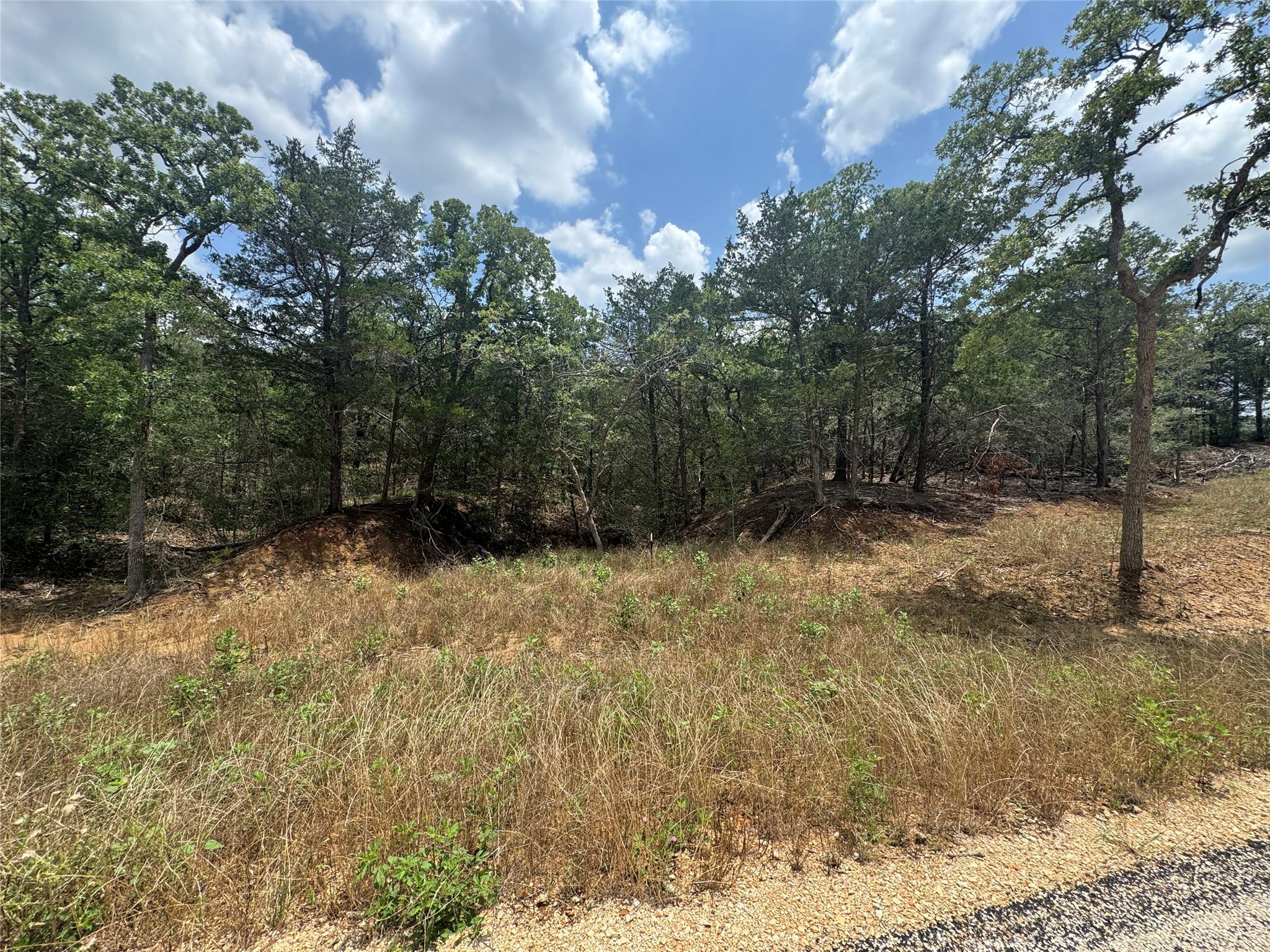 Lot 16 Hailey Ln, Dale, TX 78616