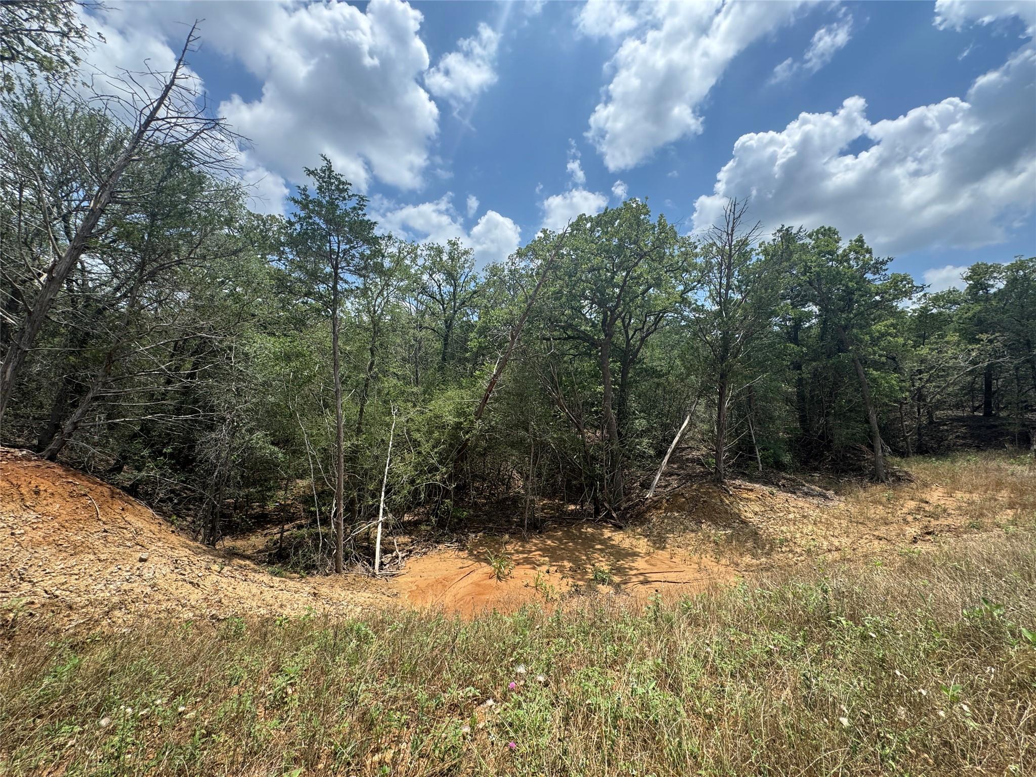 Lot 16 Hailey Ln, Dale, TX 78616