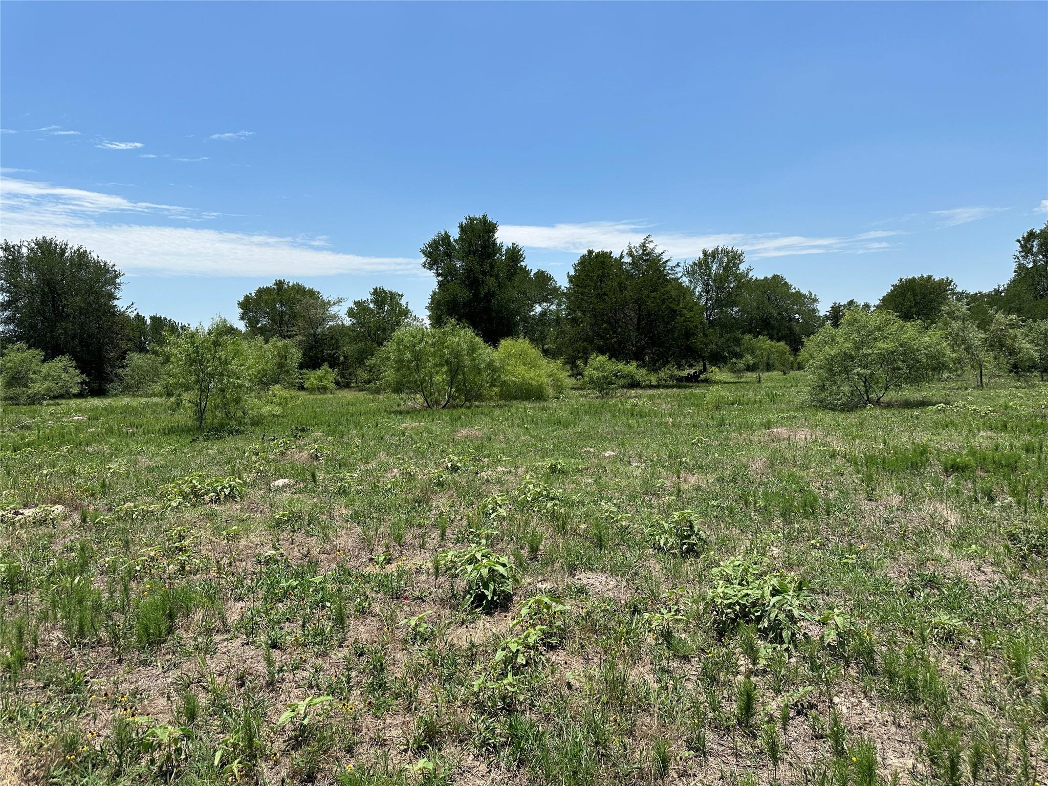 Tract 3D Hwy 95 Highway, Smithville, TX 78957