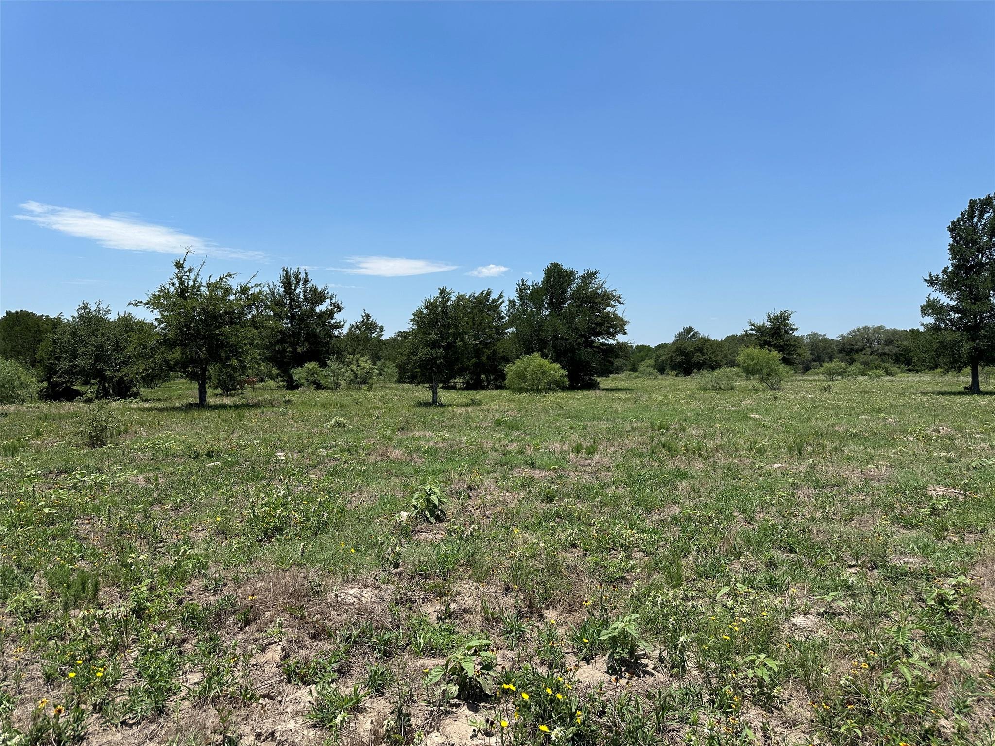 Tract 3D Hwy 95 Highway, Smithville, TX 78957