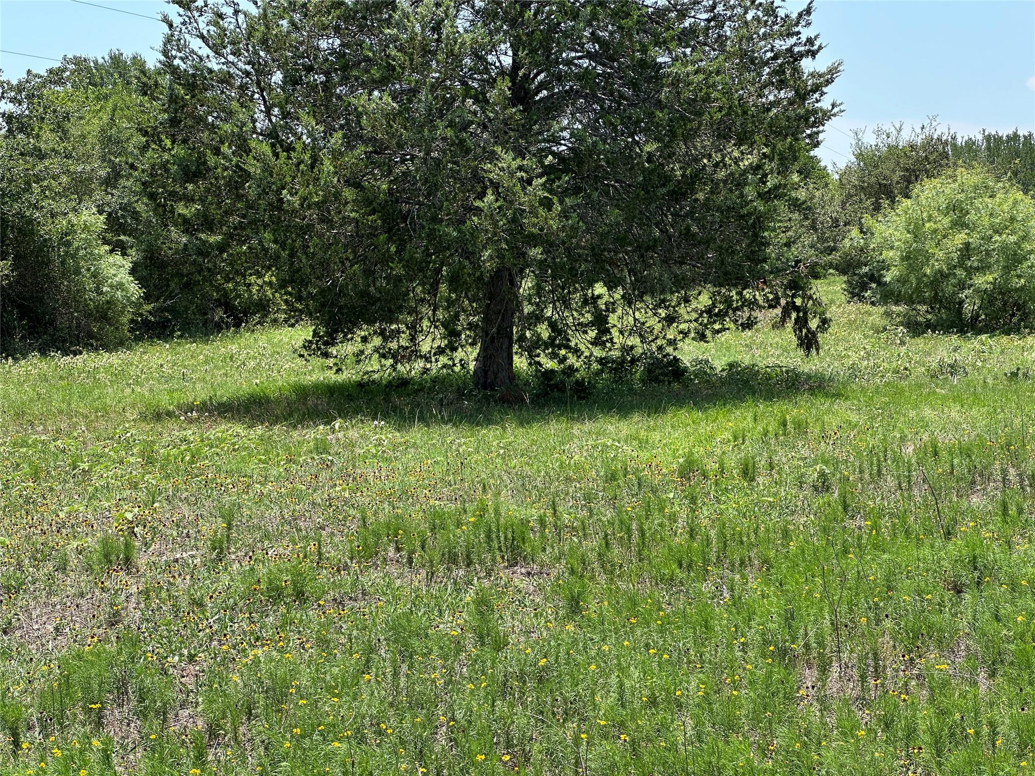 Tract 3D Hwy 95 Highway, Smithville, TX 78957