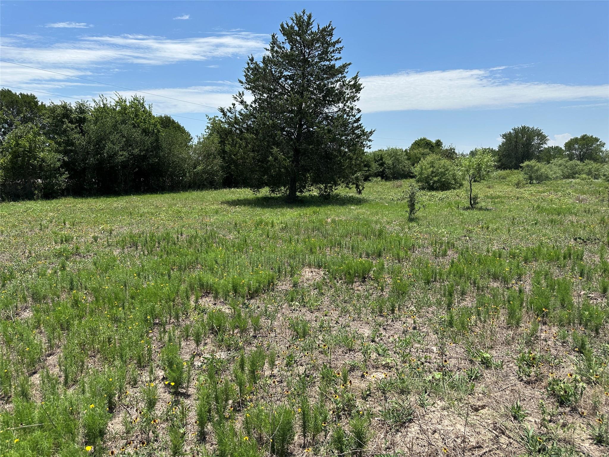 Tract 3D Hwy 95 Highway, Smithville, TX 78957