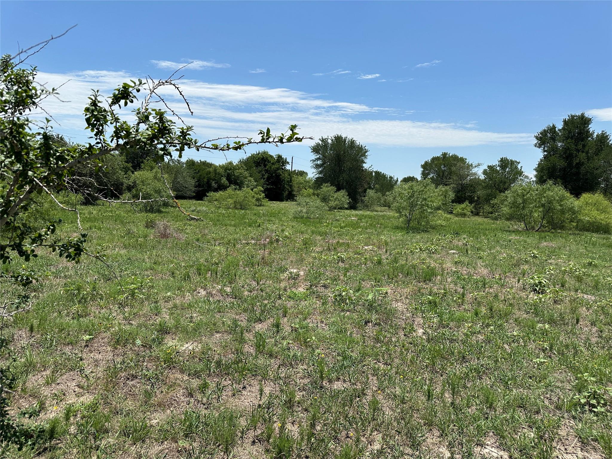 Tract 3D Hwy 95 Highway, Smithville, TX 78957