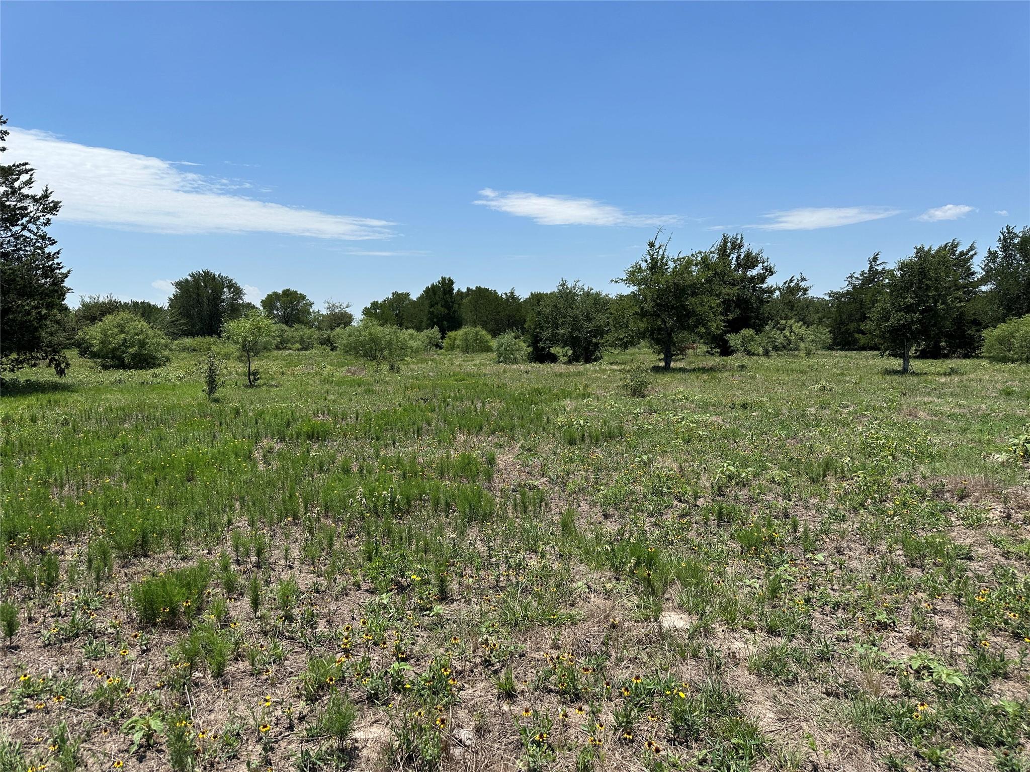 Tract 3D Hwy 95 Highway, Smithville, TX 78957