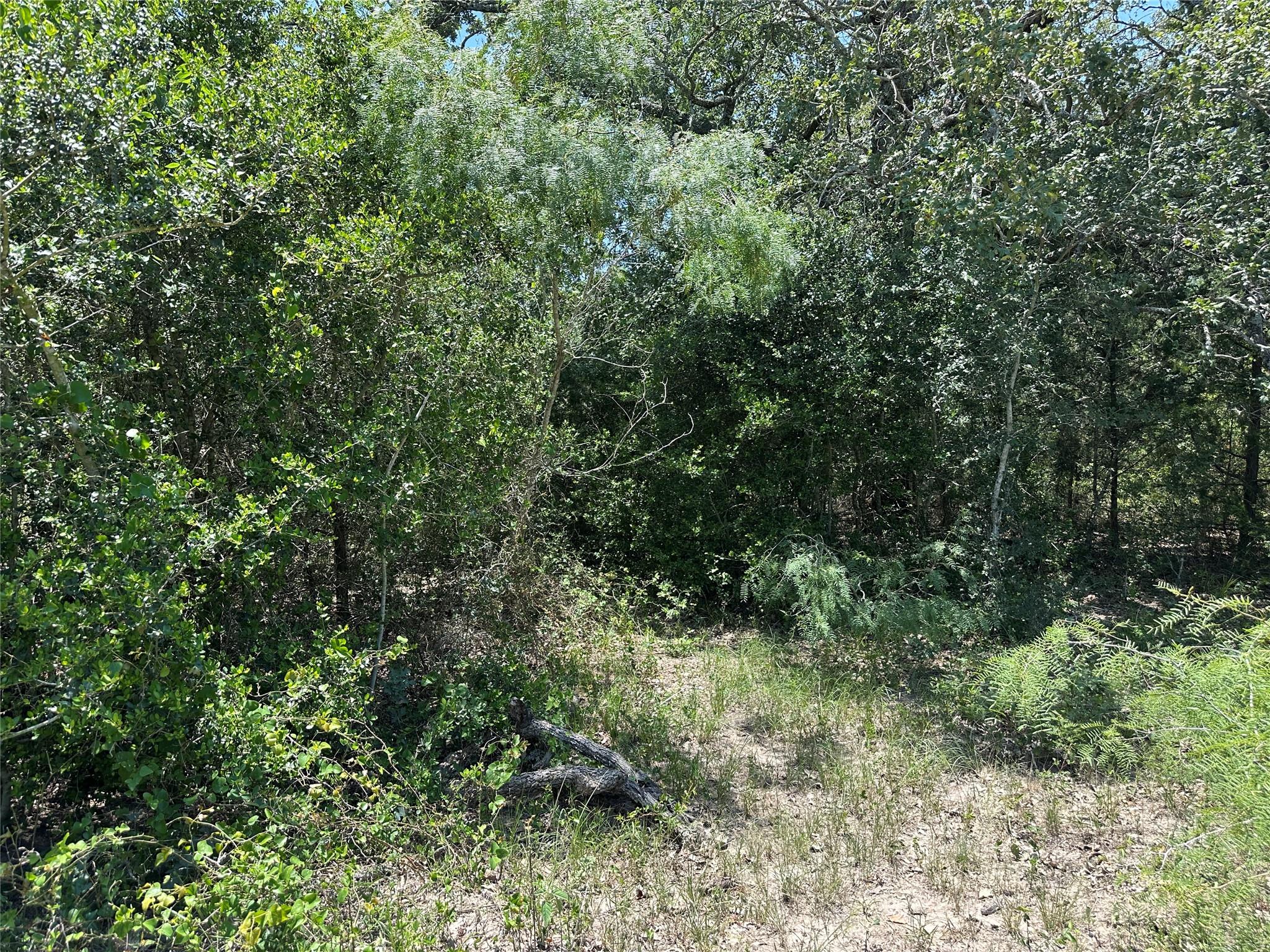 Tract 3D Hwy 95 Highway, Smithville, TX 78957