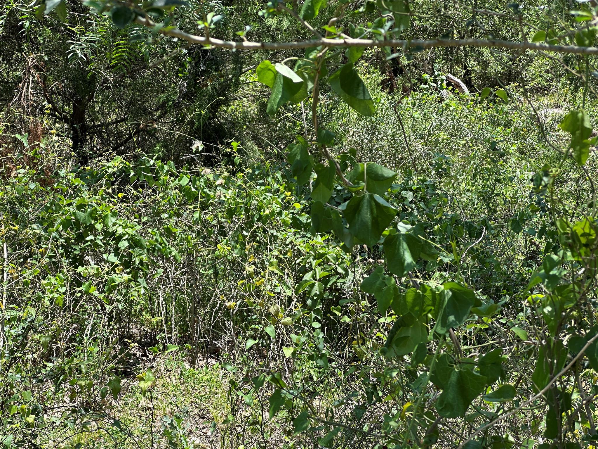 Tract 3D Hwy 95 Highway, Smithville, TX 78957