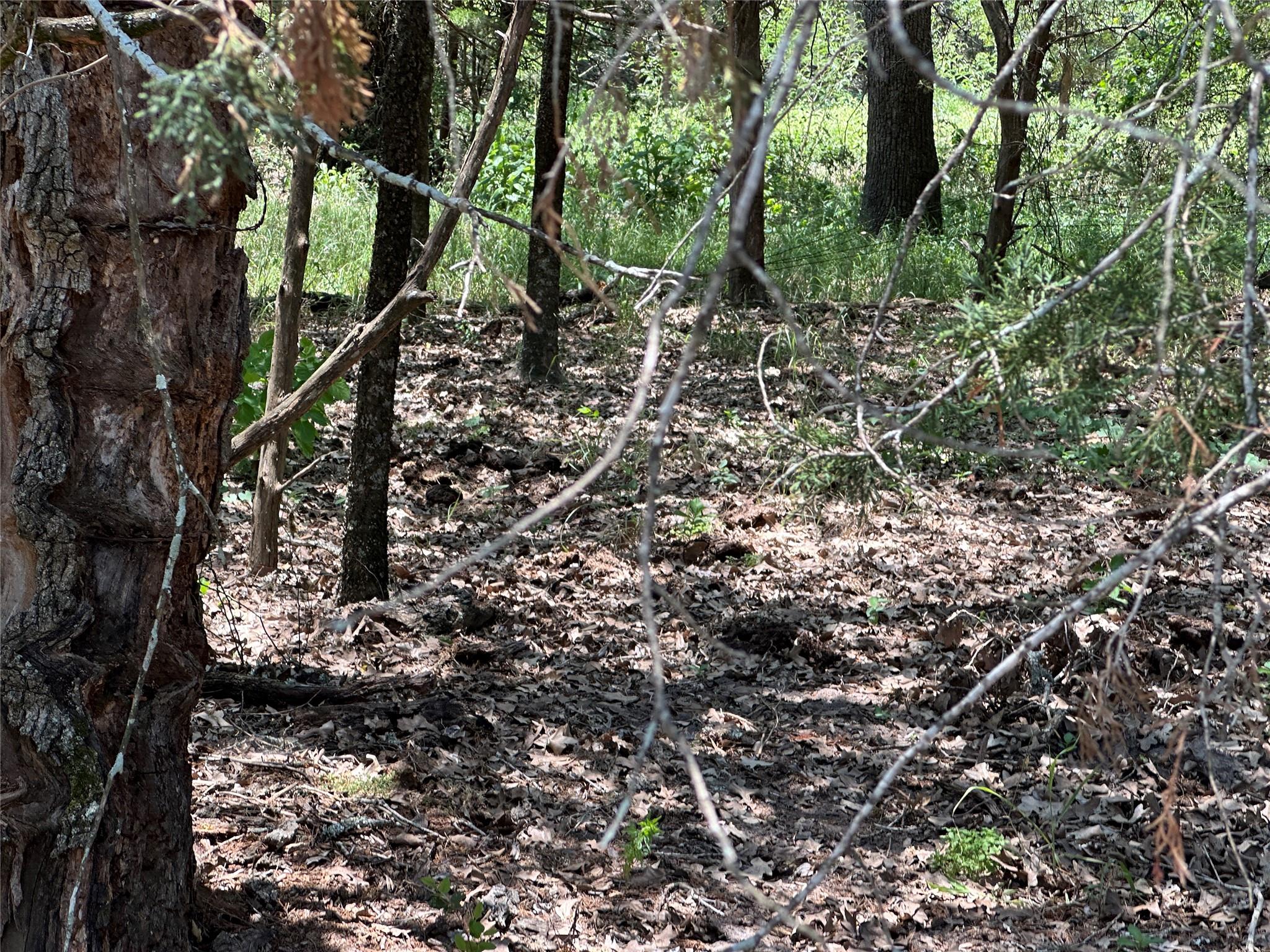 Tract 3D Hwy 95 Highway, Smithville, TX 78957