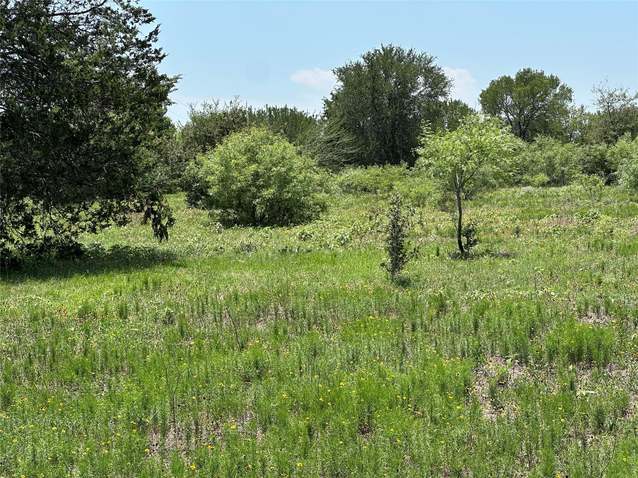 Tract 3D Hwy 95 Highway, Smithville, TX 78957