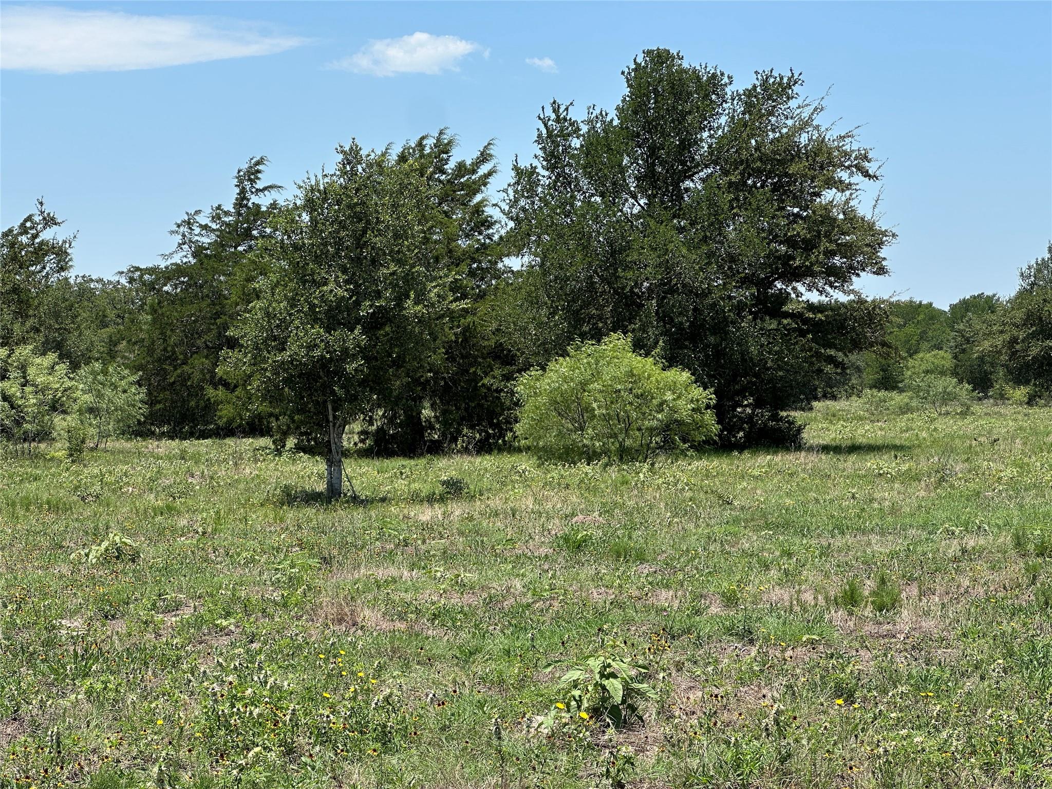 Tract 3D Hwy 95 Highway, Smithville, TX 78957