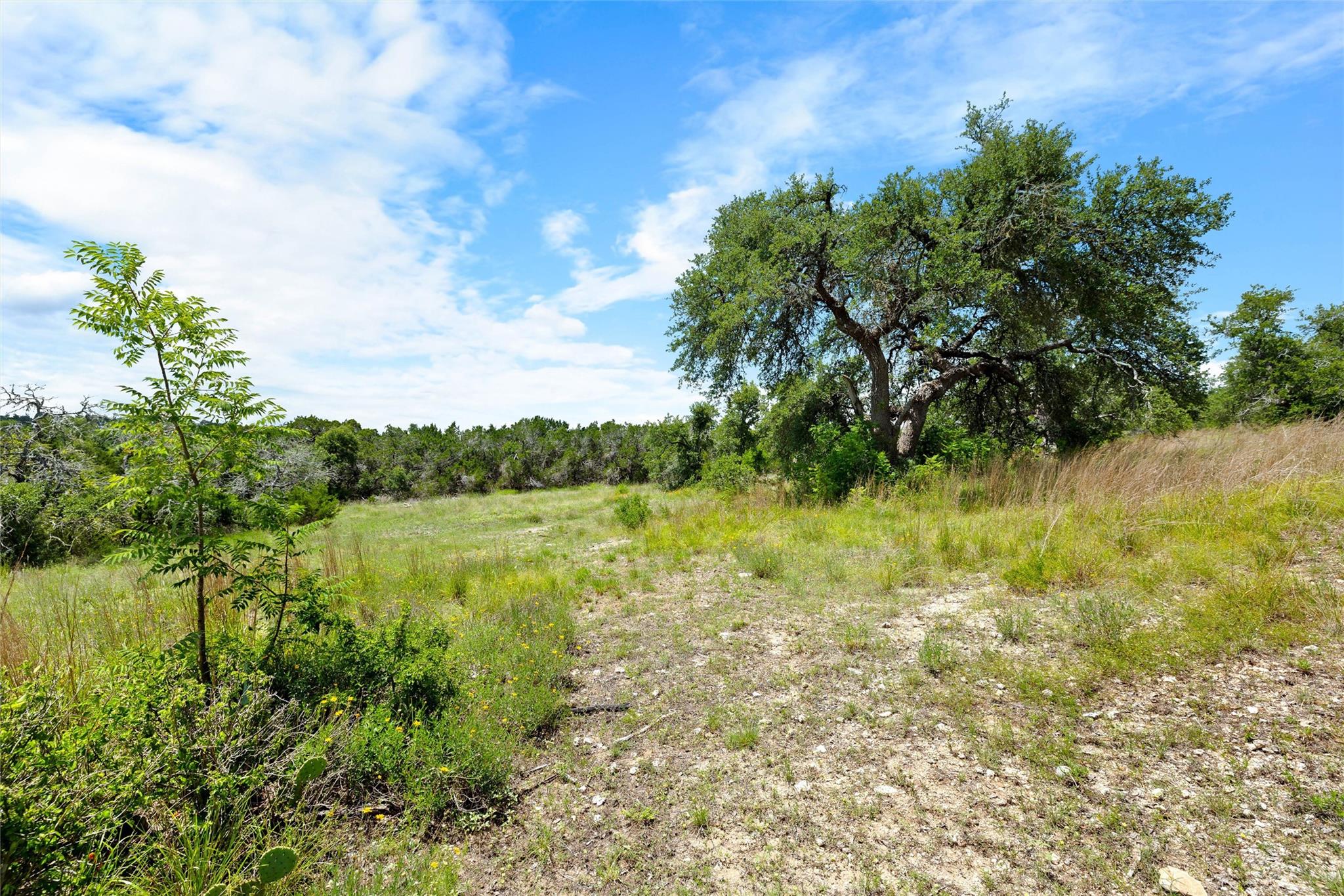 250 Brunson Ln, Wimberley, TX 78676