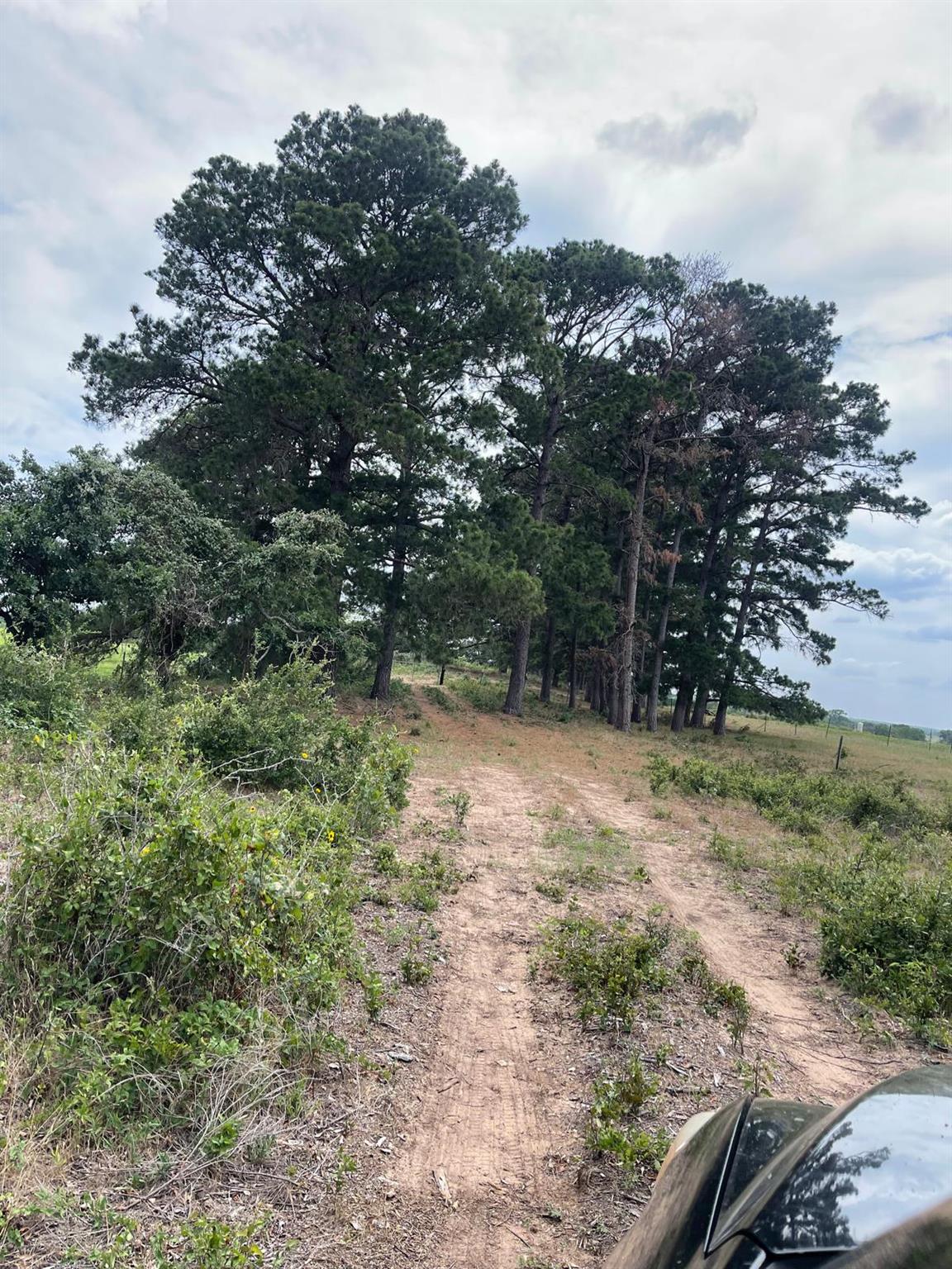 1550 Cattlemens Row, Lockhart, TX 78644