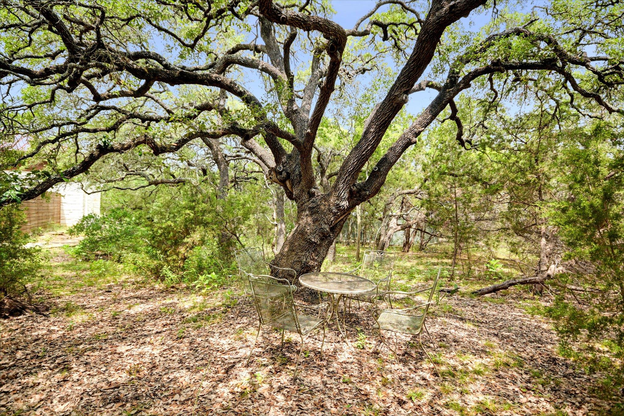 150 Story Dr, Buda, TX 78610