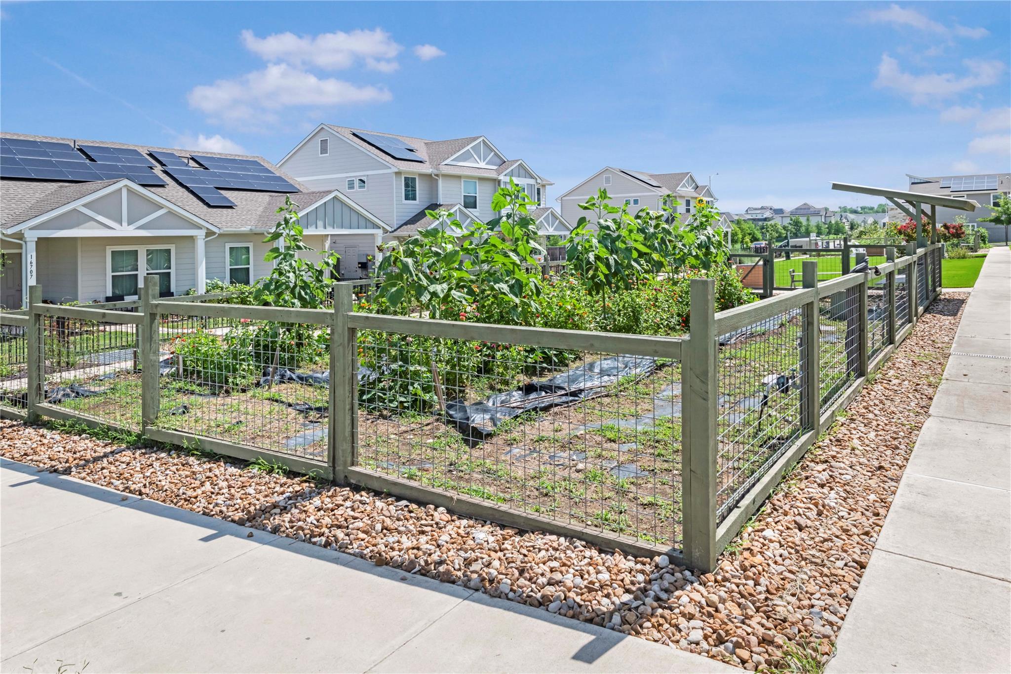 9705 Morning Iris Dr, Manor, TX 78653