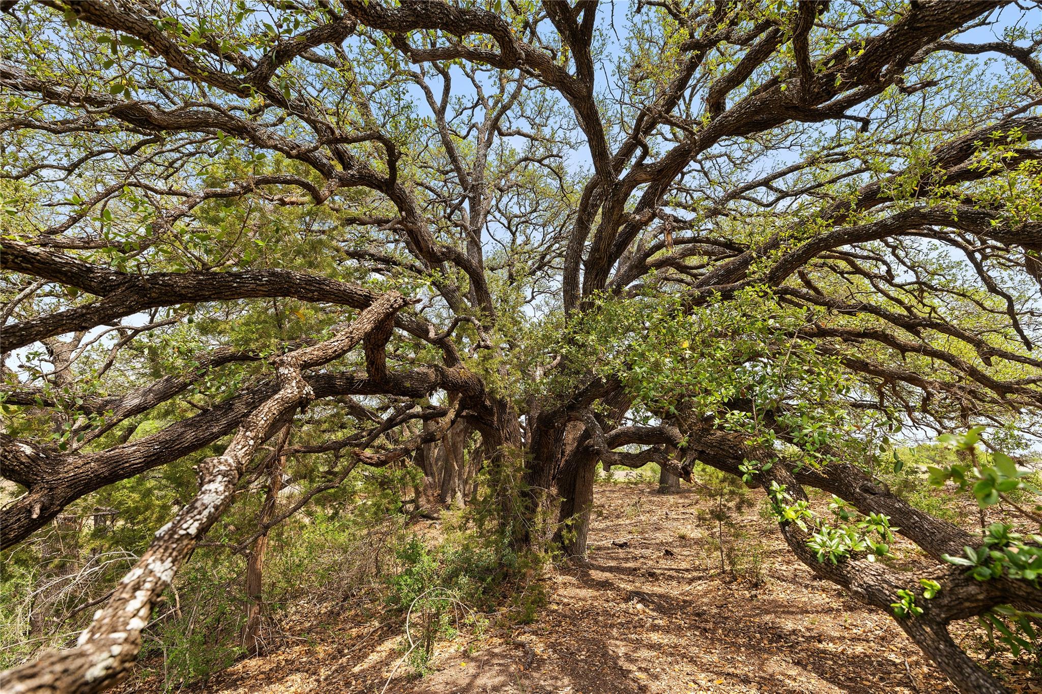 TBD County Road 207, Burnet, TX 78611