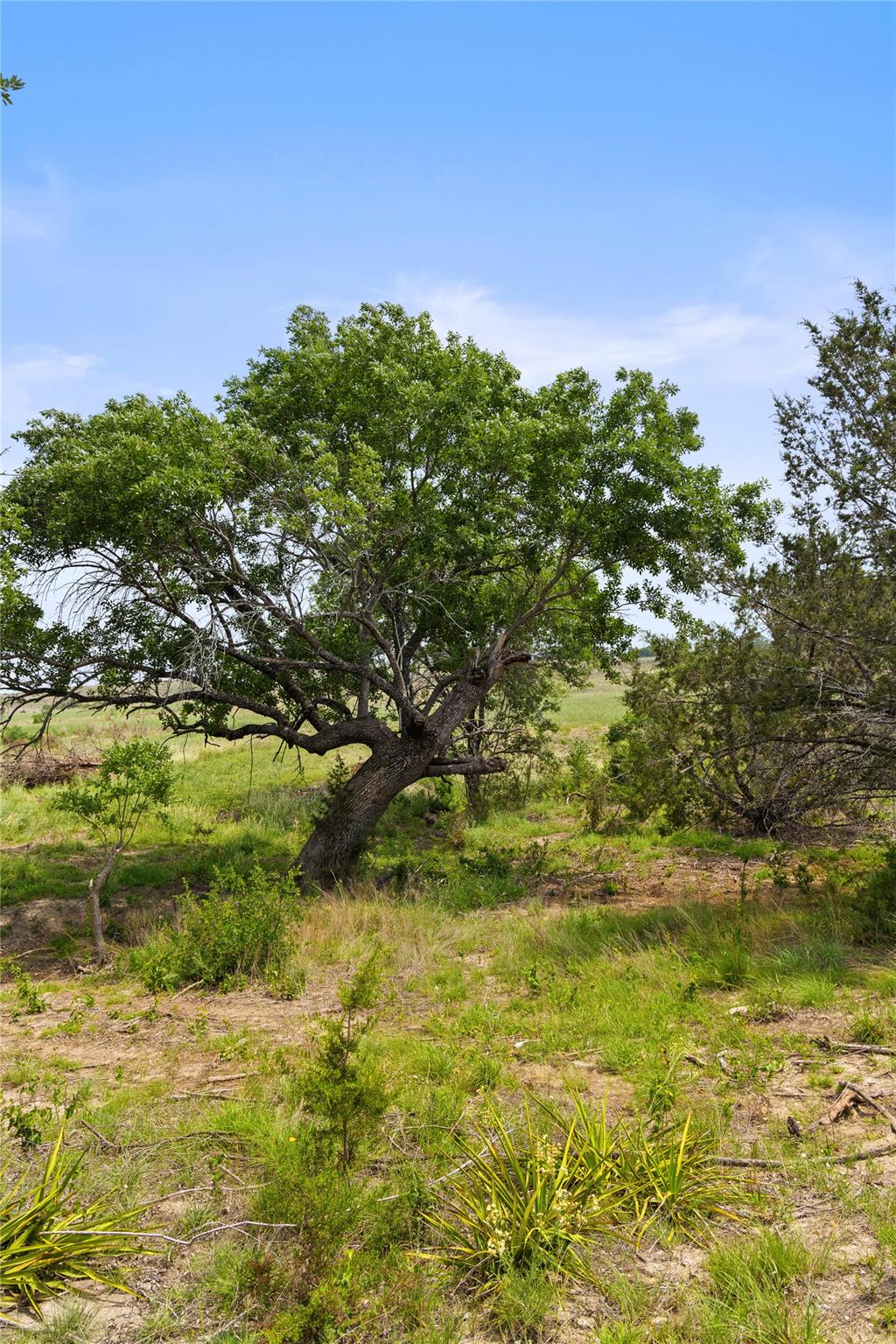 TBD County Road 207, Burnet, TX 78611