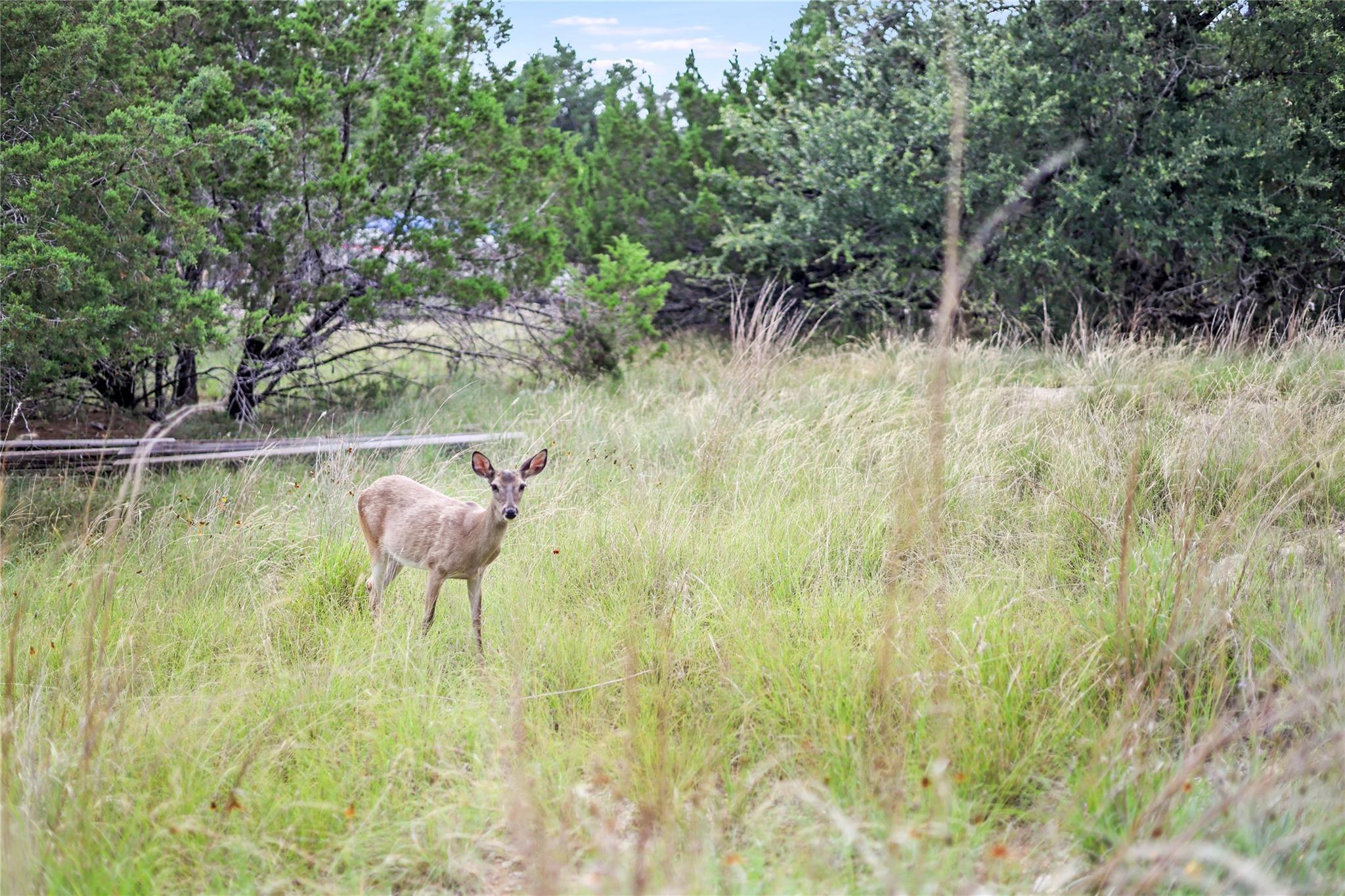 18700 Venture Dr, Point Venture, TX 78645