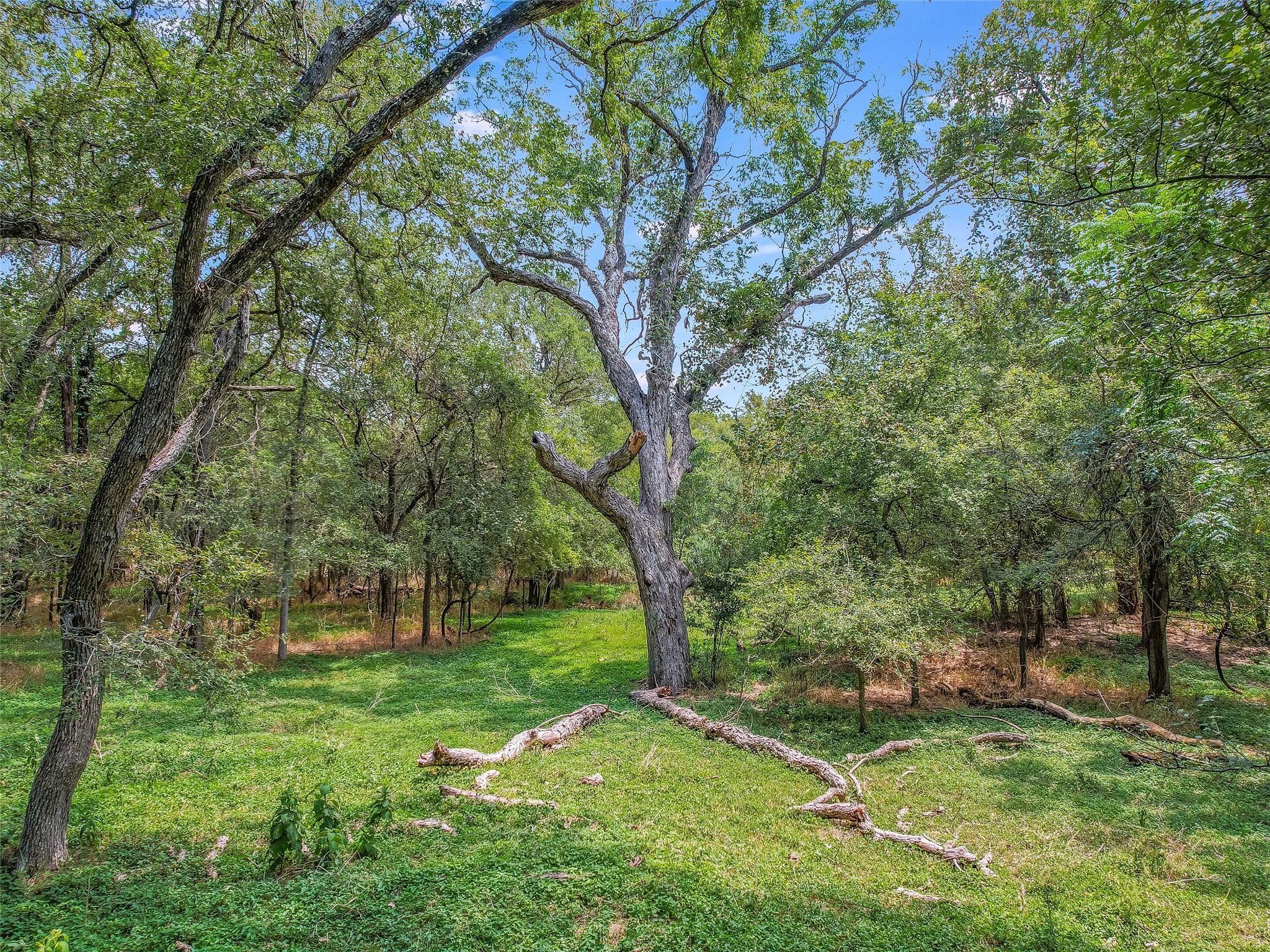 TBD Doc Bryson Ln, Bastrop, TX 78602