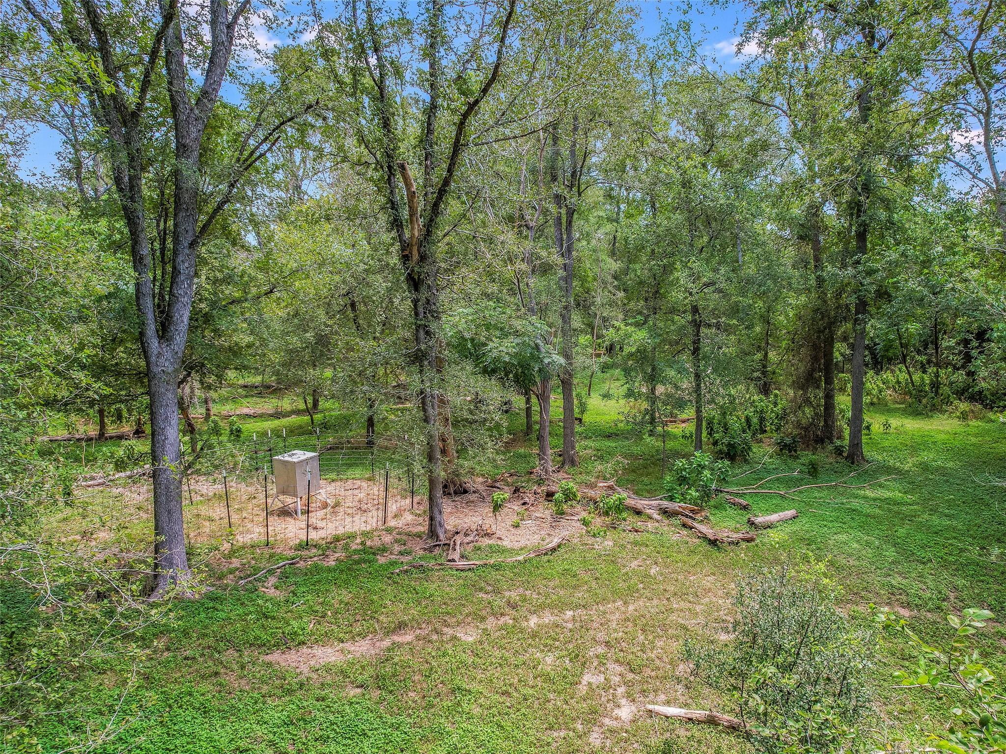 TBD Doc Bryson Ln, Bastrop, TX 78602