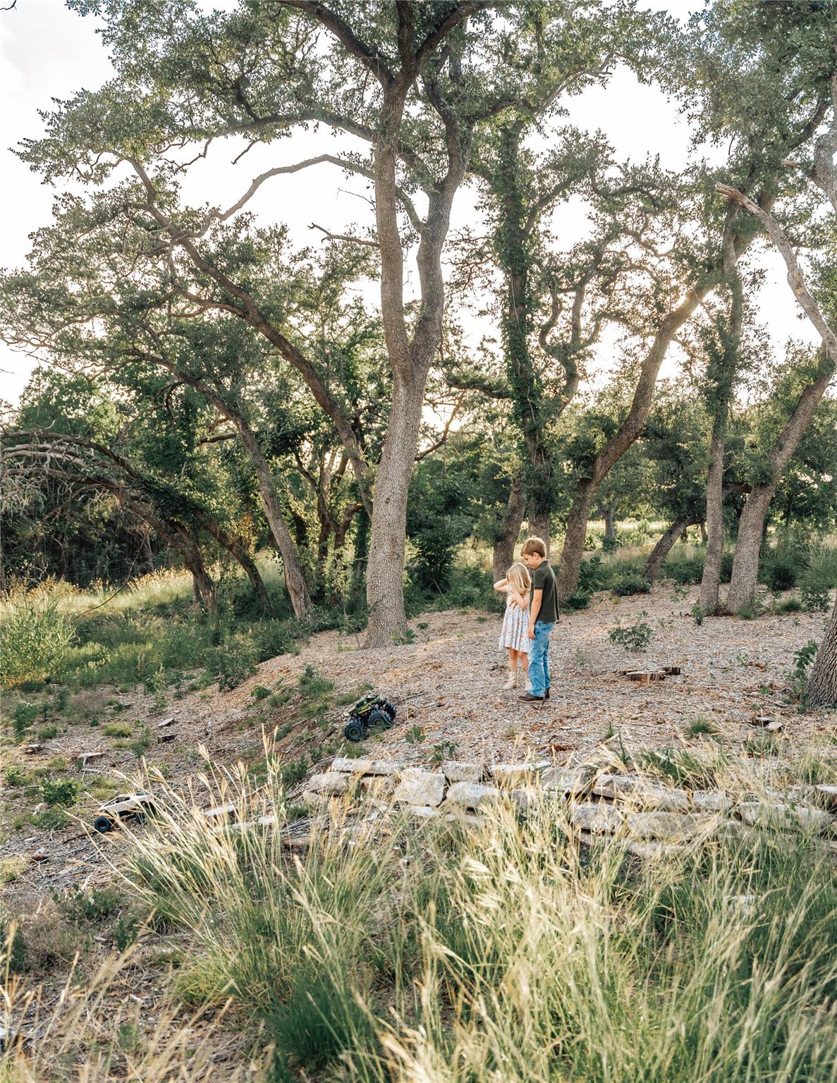 17650 Hamilton Pool Rd, Austin, TX 78738