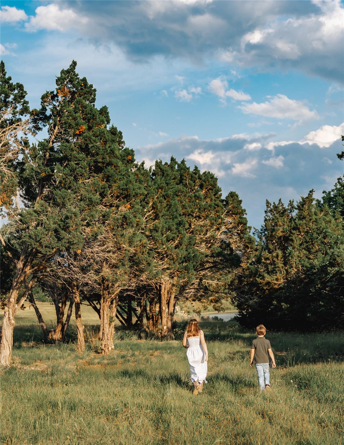 17650 Hamilton Pool Rd, Austin, TX 78738