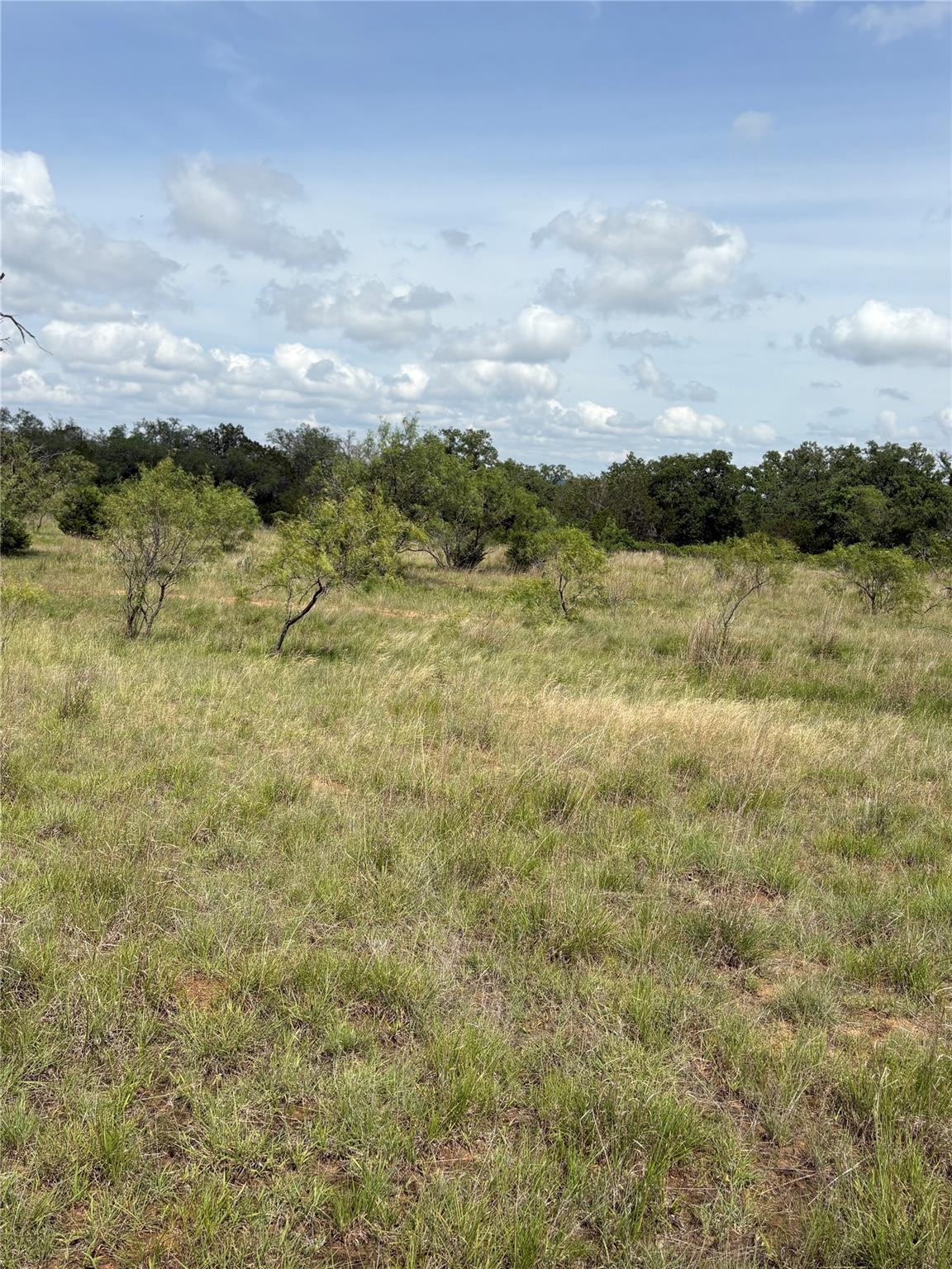 TBD Shovel Mountain Rd, Cypress Mill, TX 78663