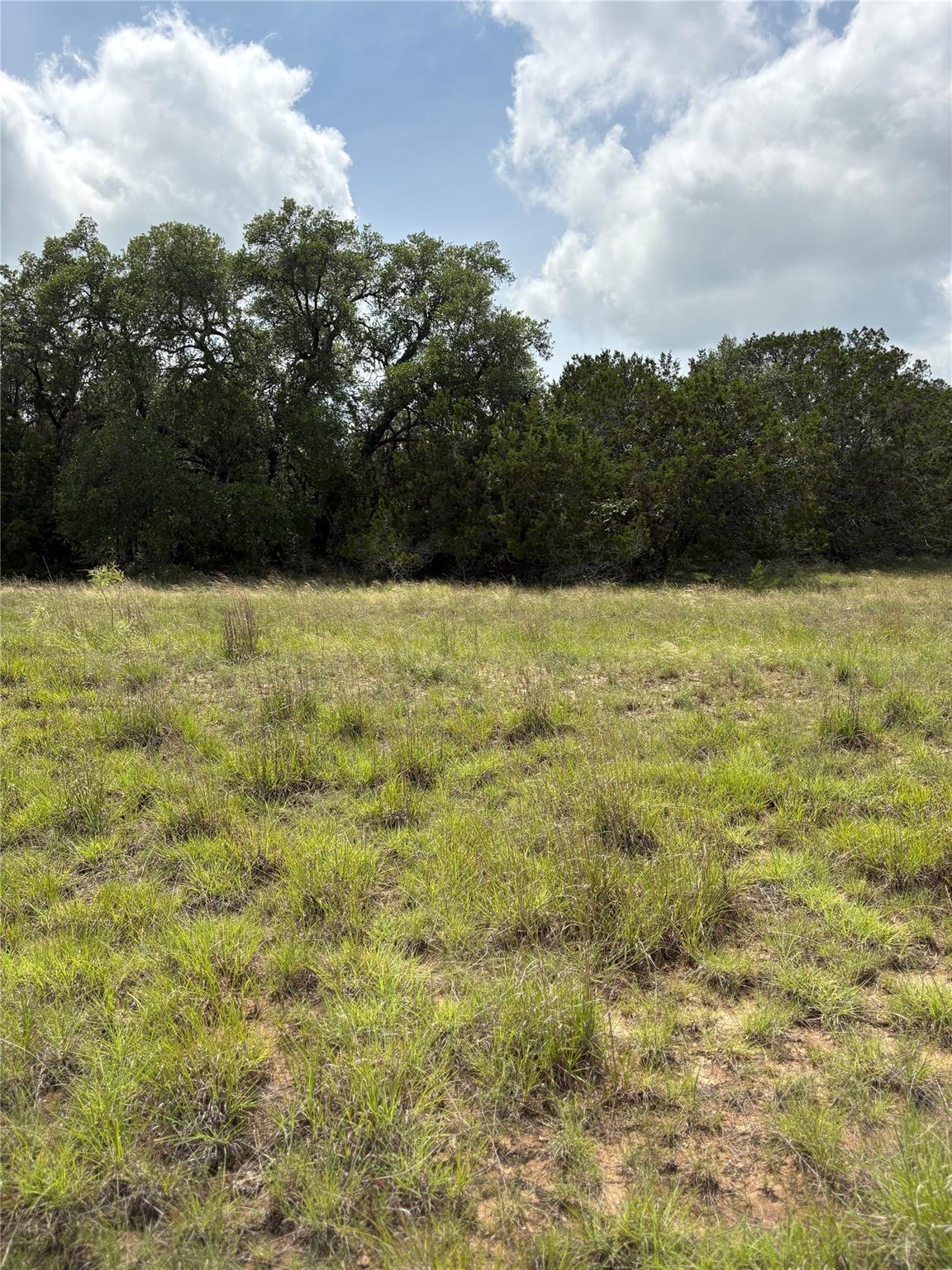 TBD Shovel Mountain Rd, Cypress Mill, TX 78663