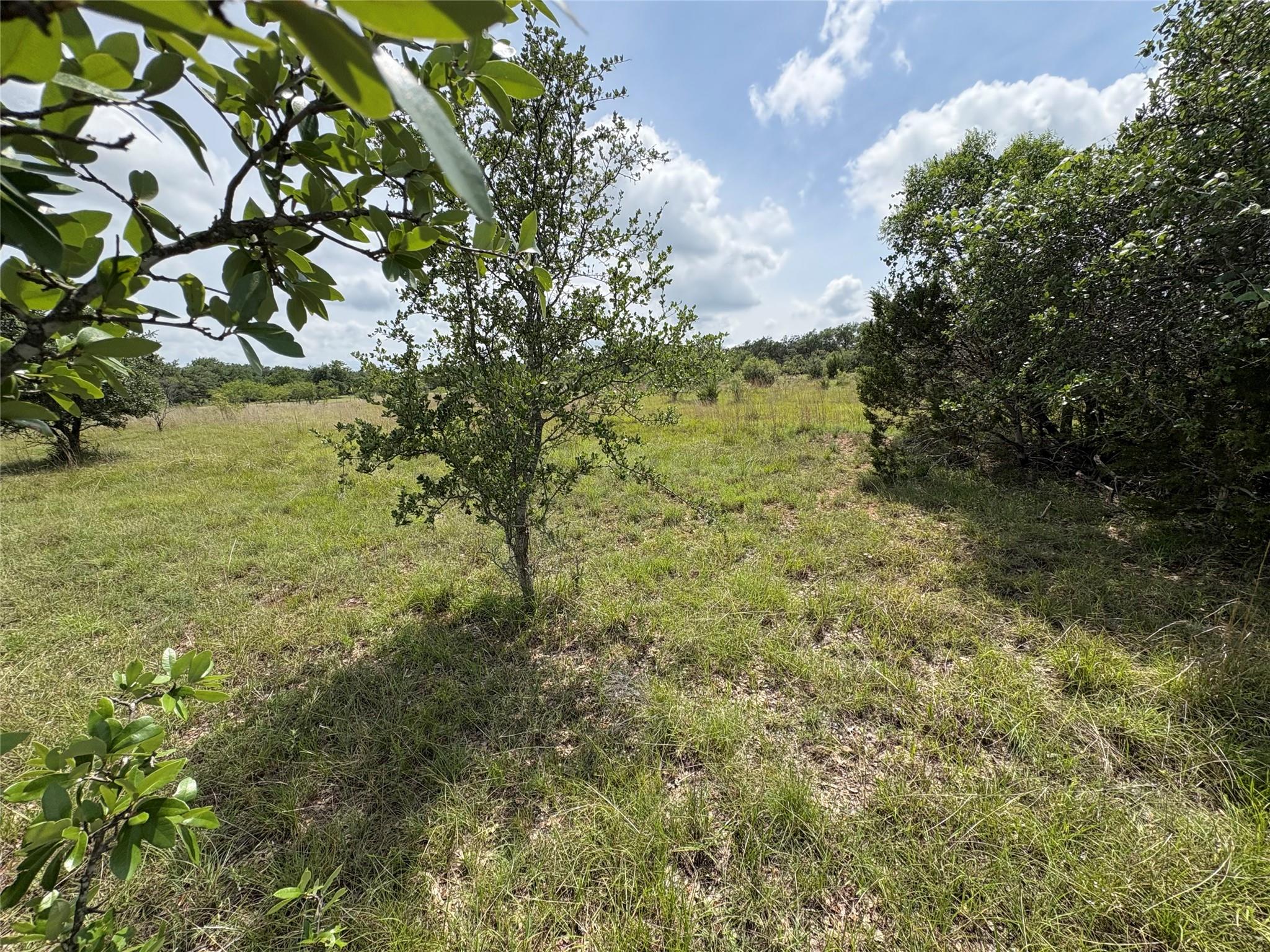 TBD Shovel Mountain Rd, Cypress Mill, TX 78663