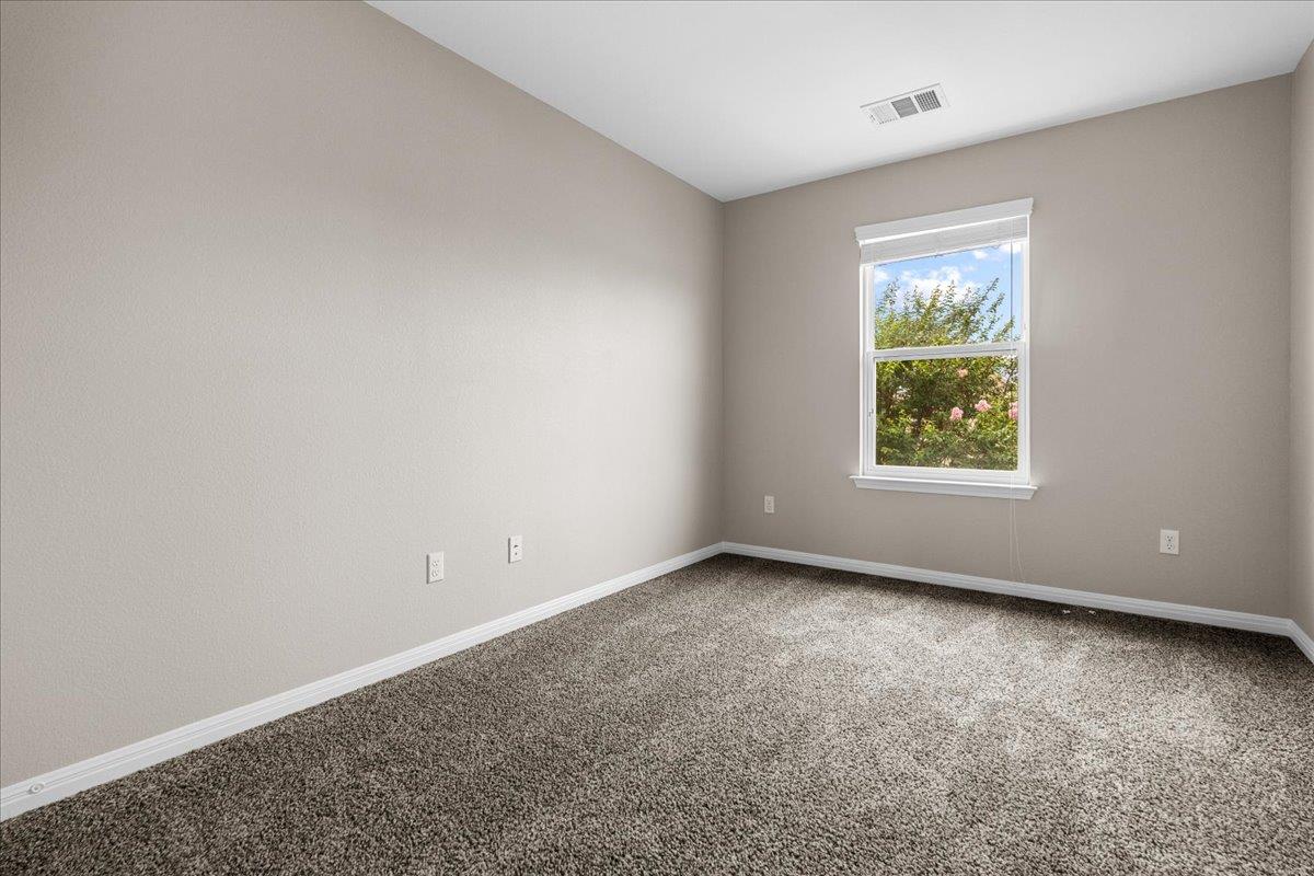 163 Wainscot Oak Way, San Marcos, TX 78666