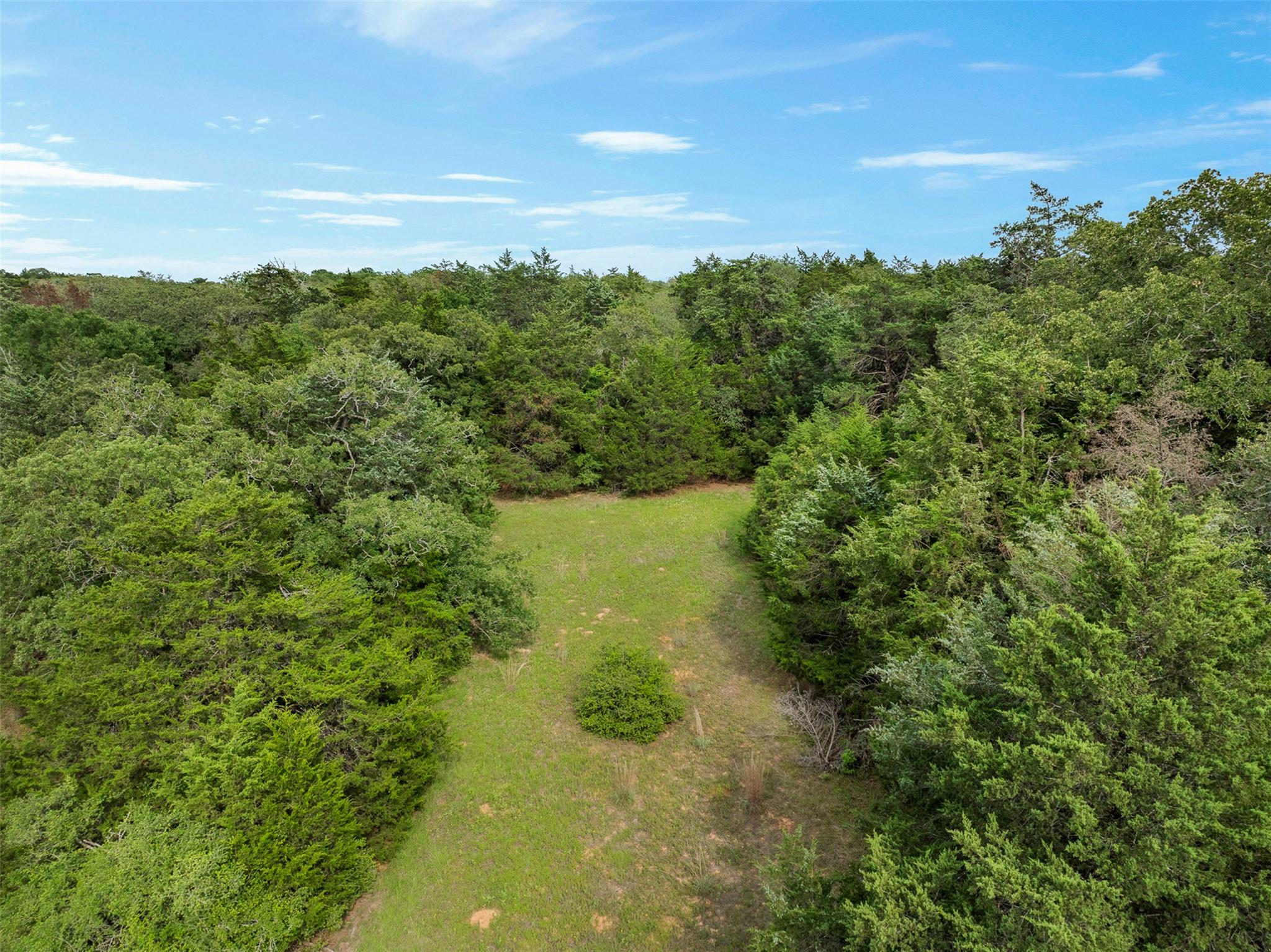 TBD (+/- 15 Acres) County Road 316, Caldwell, TX 77836