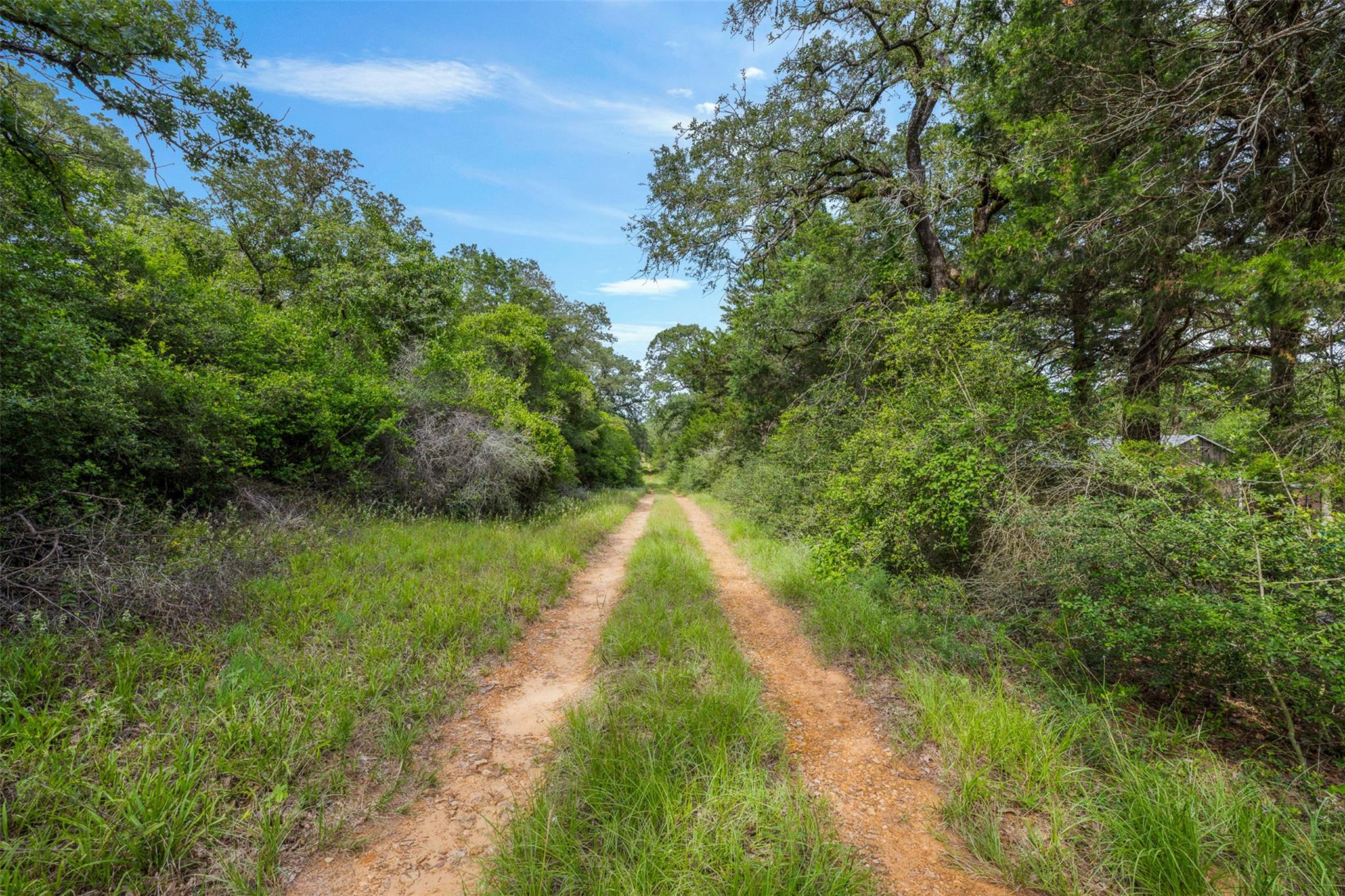 TBD (+/- 15 Acres) County Road 316, Caldwell, TX 77836