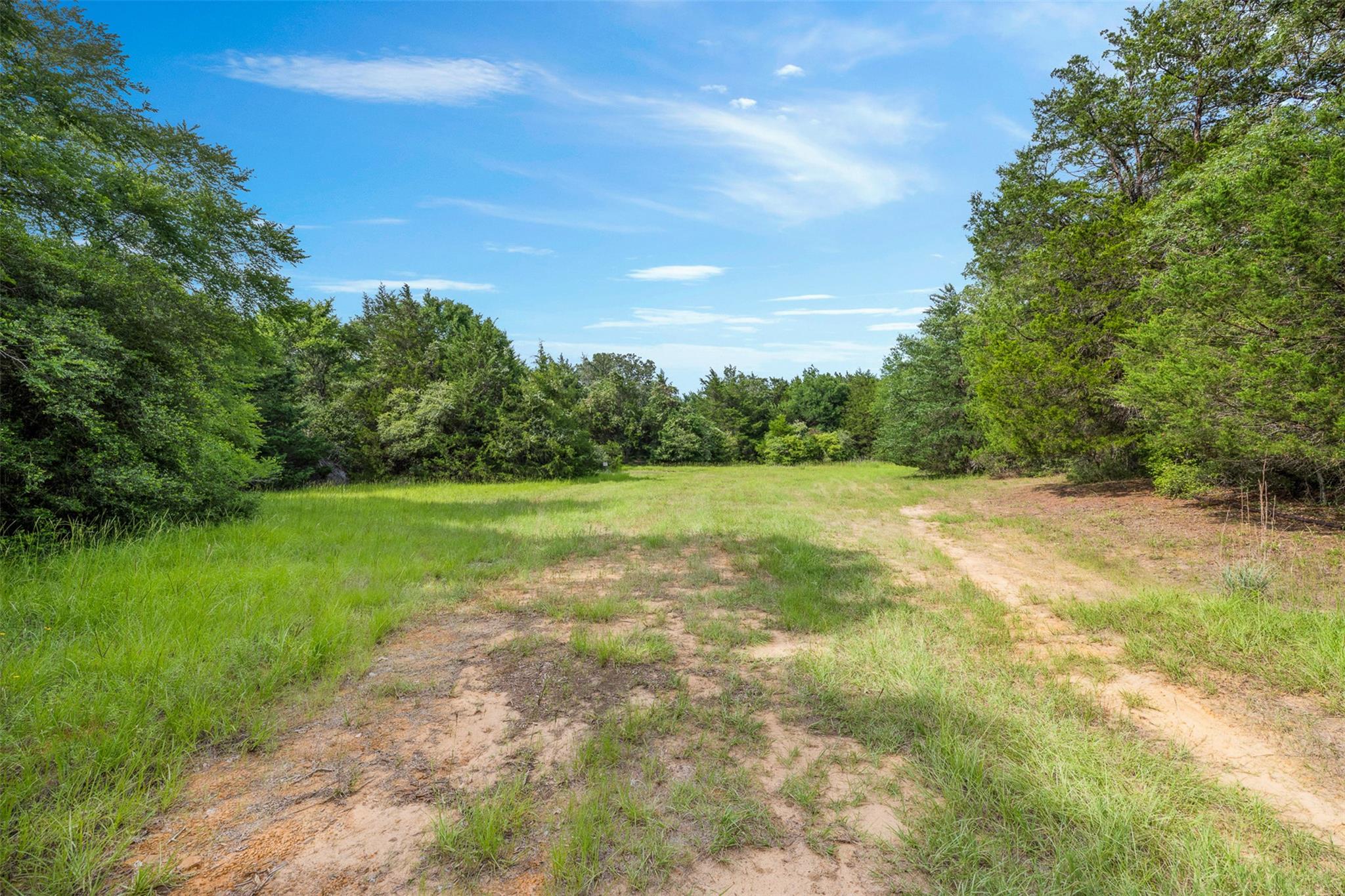 TBD (+/- 15 Acres) County Road 316, Caldwell, TX 77836